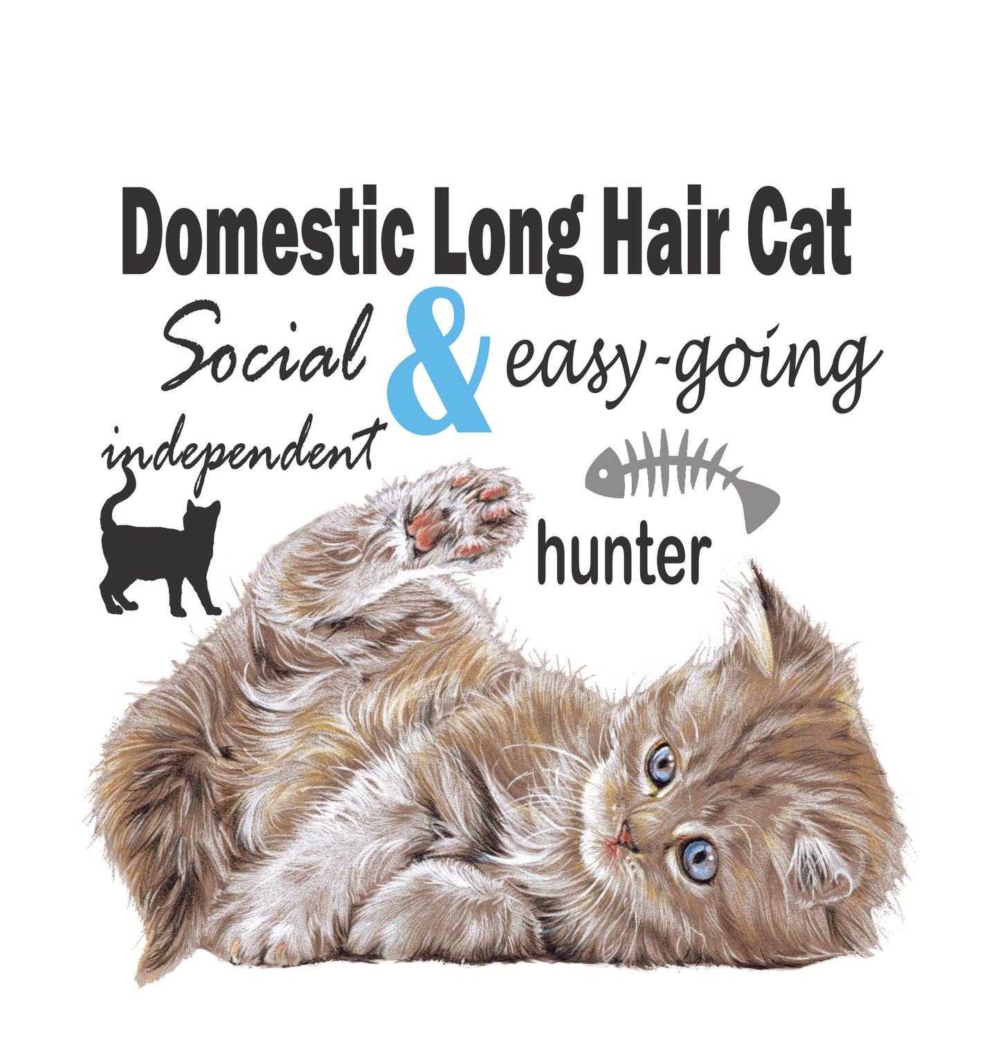 Tas Domestic Longhair Cat - Europese langhaar kat