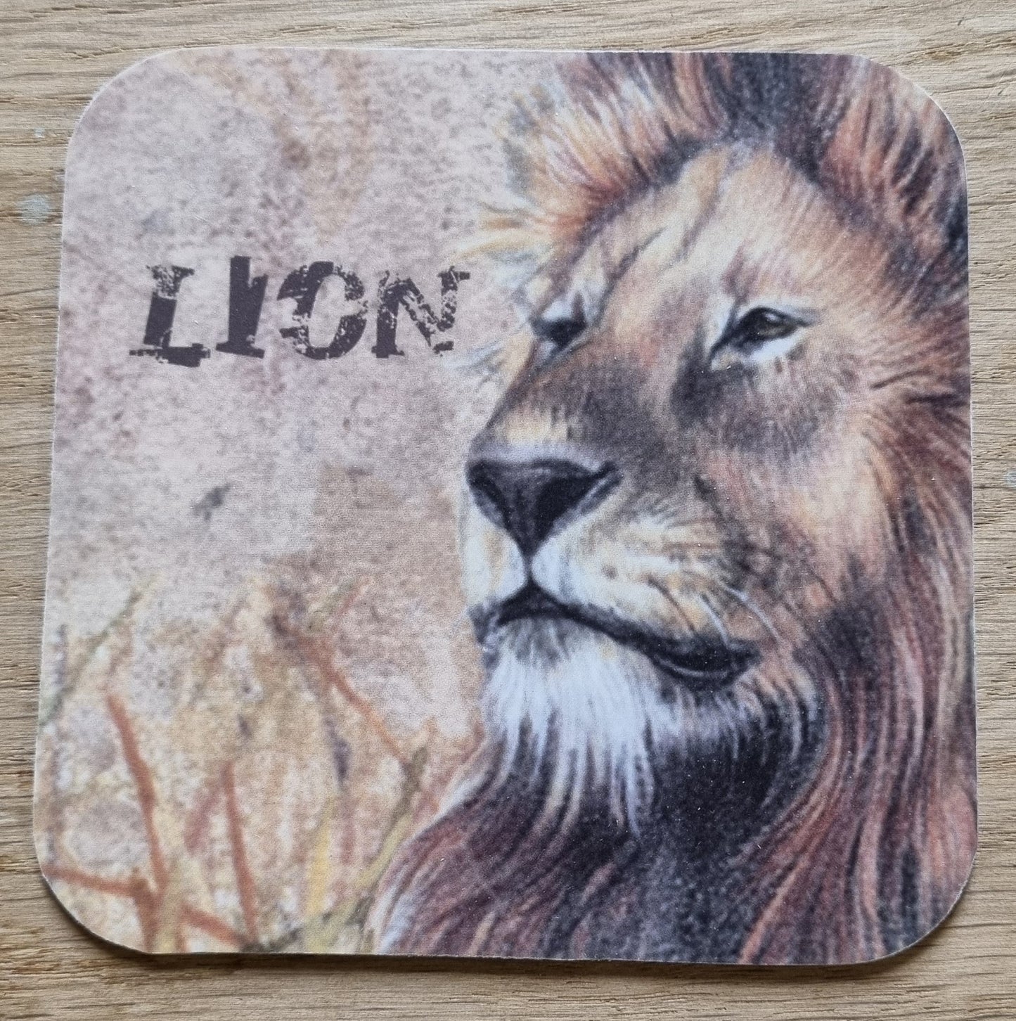 Coaster Chihuahua per 3 pieces