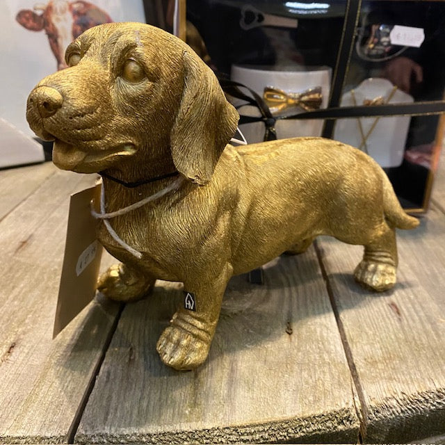 Teckel (in goudkleurig uitvoering)