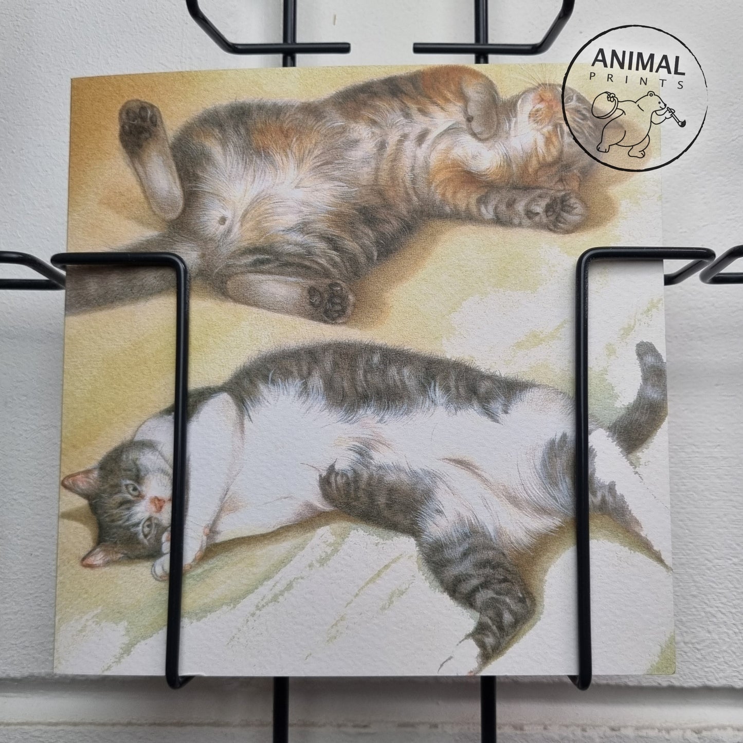Vierkante kaart - Lekker even luieren, niets om je voor te schamen. (katten print)