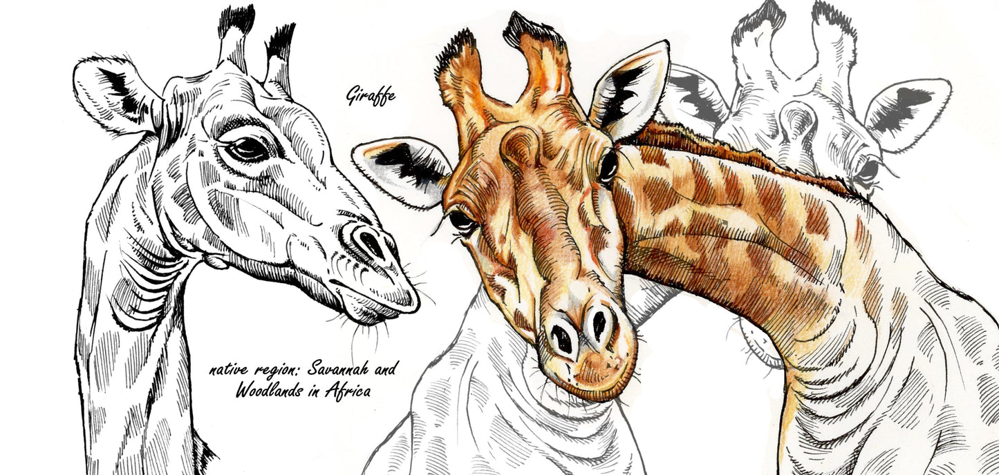 Mokkenserie Wildlife - Giraf