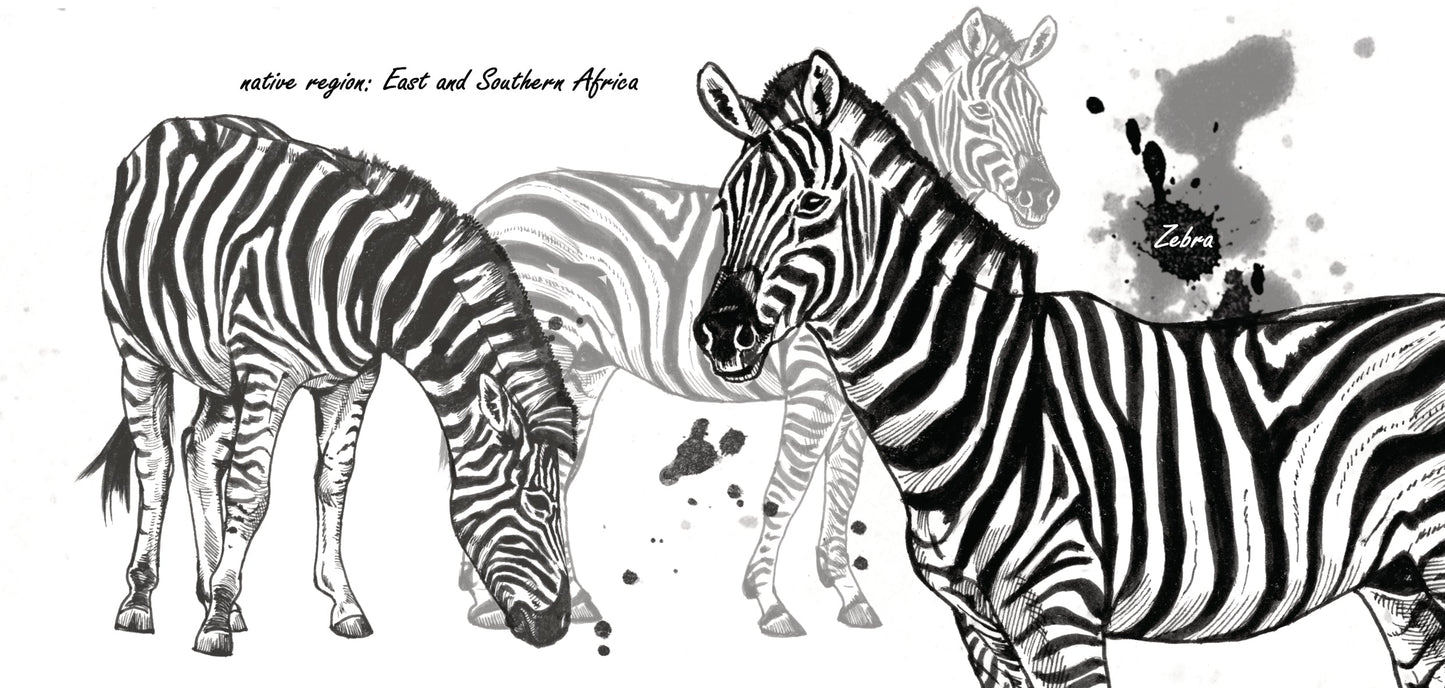 Mokkenserie Wildlife - Zebra