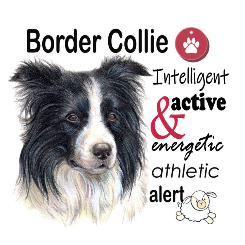Koelkastmagneet - Border Collie