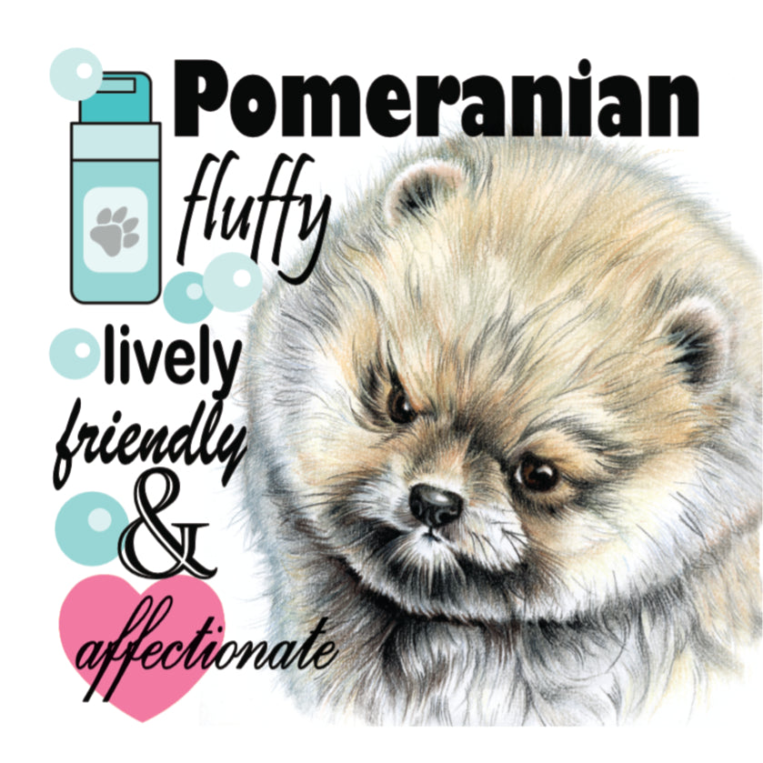 Koelkastmagneet - Pomeriaan