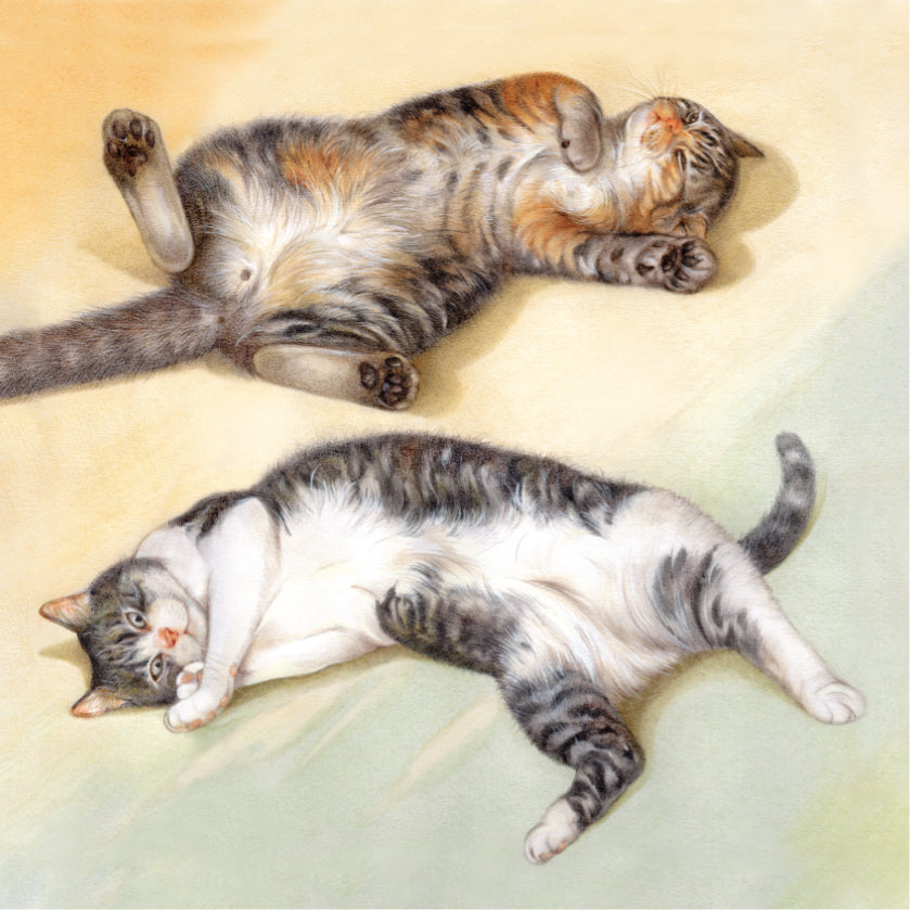 Koelkastmagneet - Liggende katten