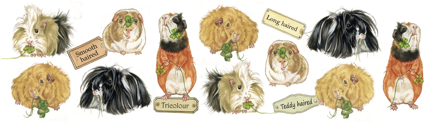 Mokken met collage - Cavia's -design 2