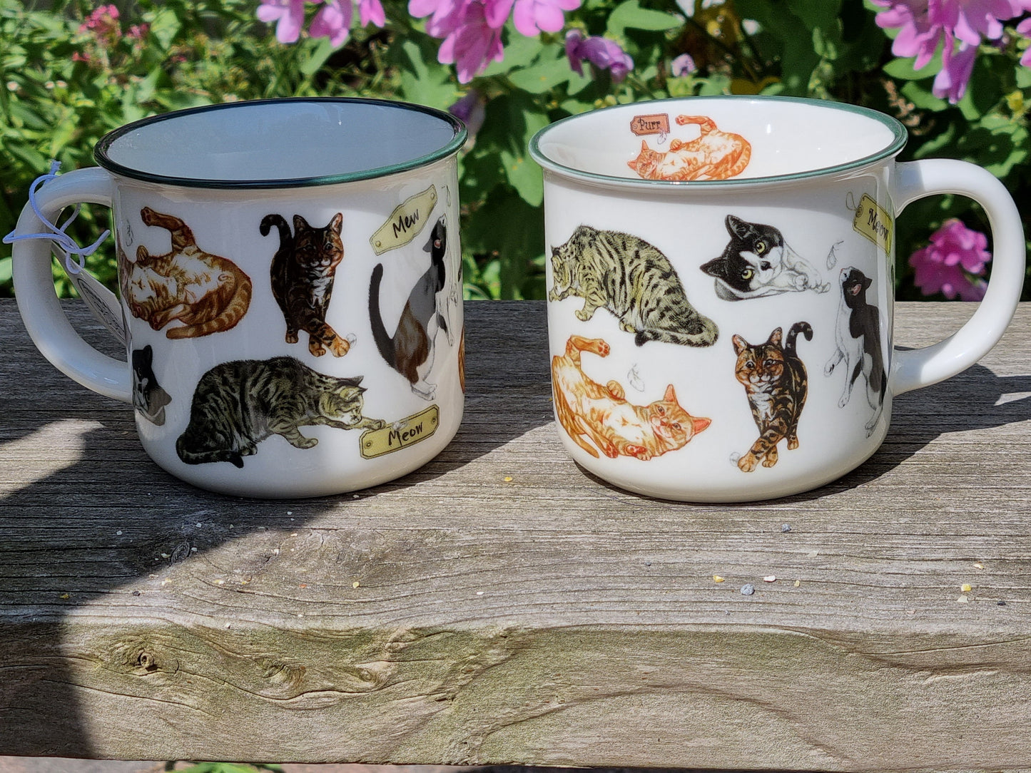 Mokken met collage - Katten