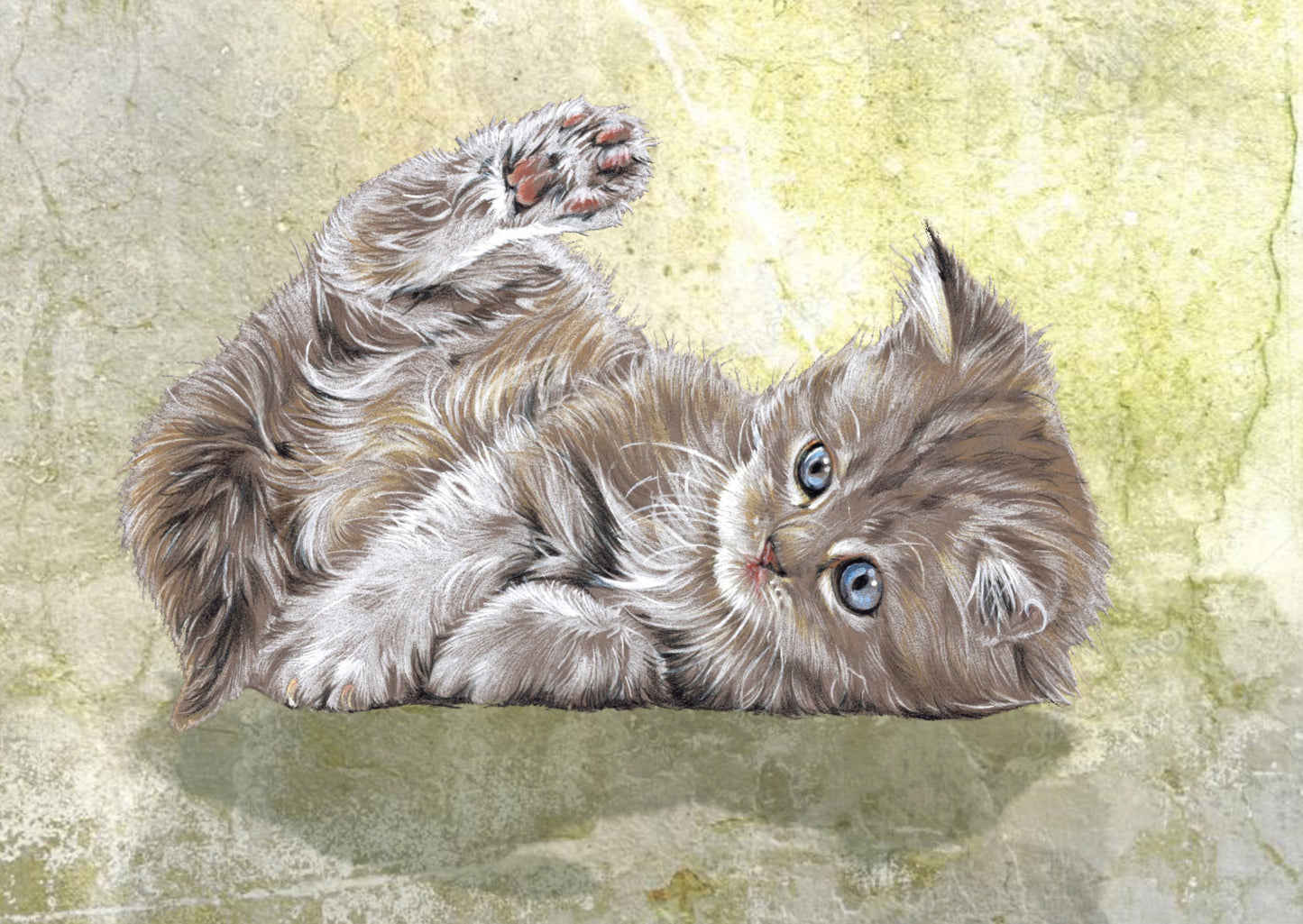 Kraftkaart A6 formaat (ansichtkaart) - kaart nummer 10 - Liggend kitten (per 5 stuks)