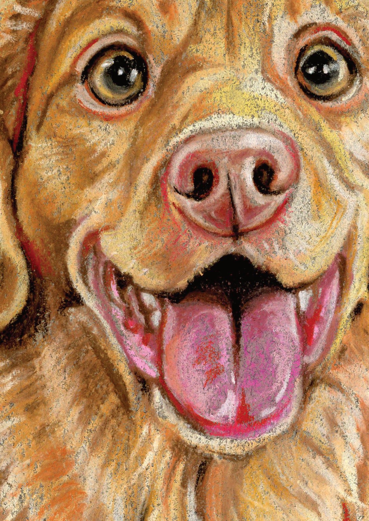 Kraftkaart A6 formaat (ansichtkaart) - kaart nummer 20 - Nova Scotia Duck Tolling Retriever (per 5 stuks)