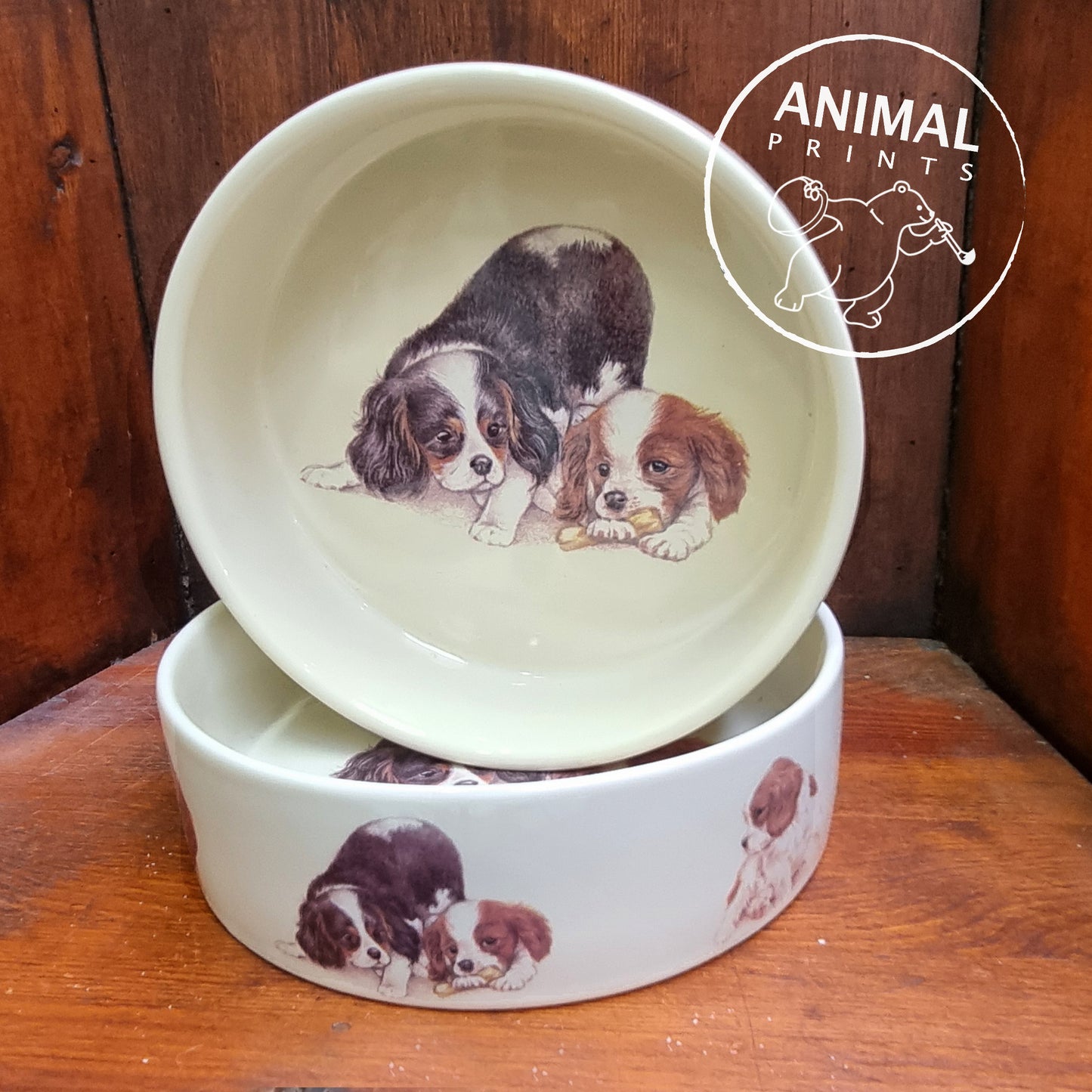 Voerbak Cavalier King Charles Spaniels