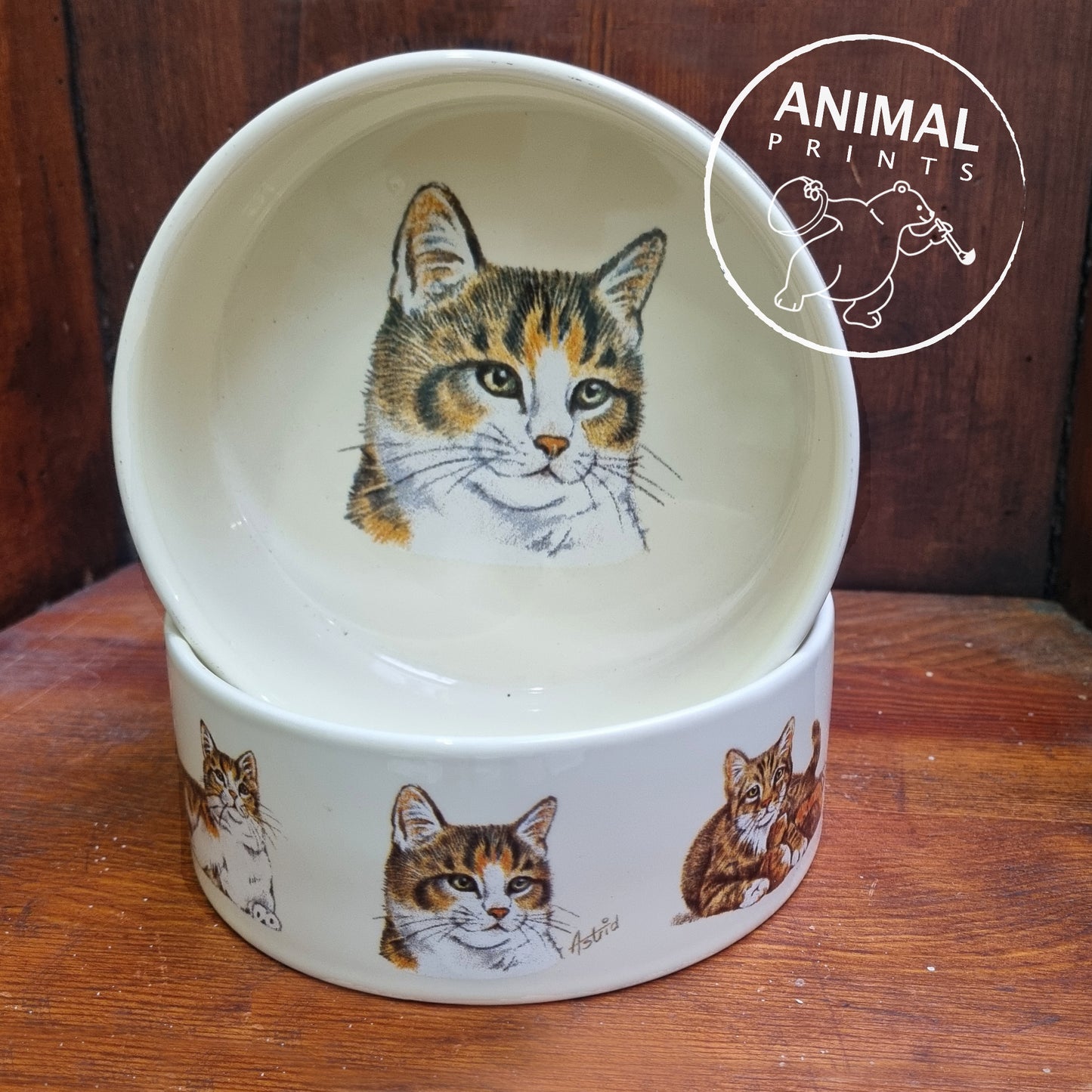 Food trough Cats 1
