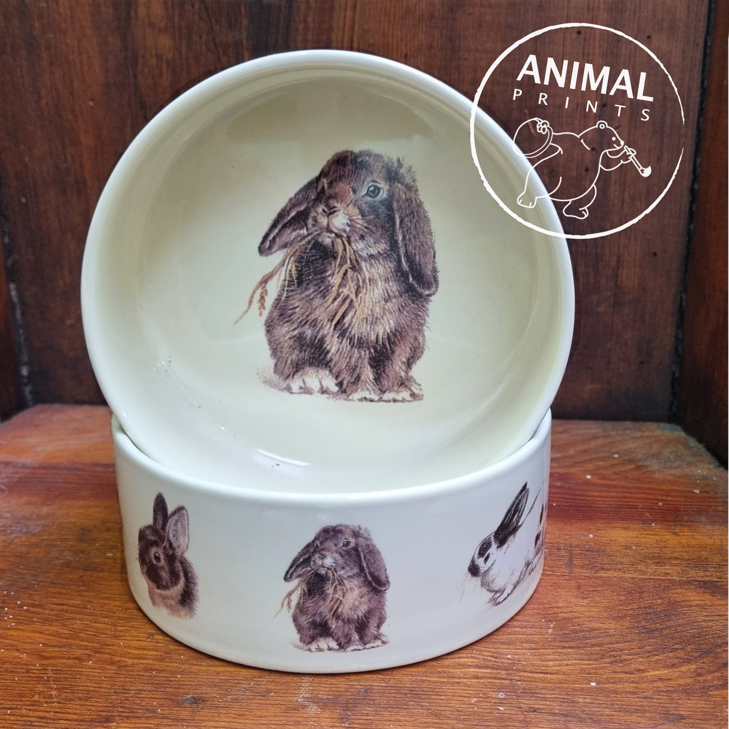 Feeder Rabbit