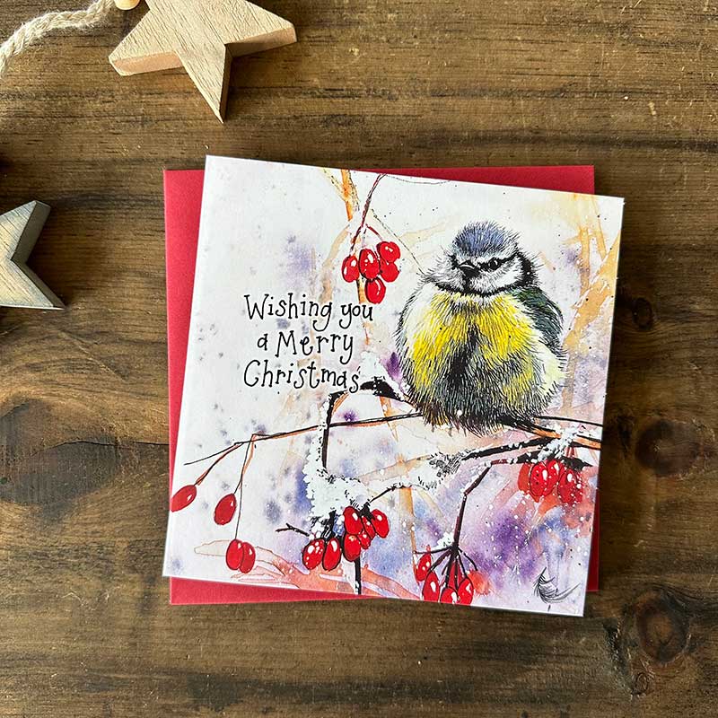 Alex Clark - Christmas Card Box - Blue Tit