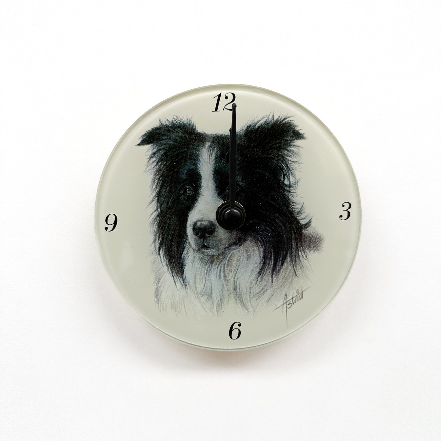Bell-Border-Collie