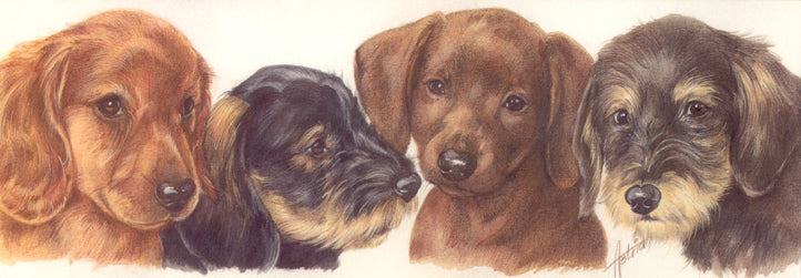 Narrow cards - Dachshunds