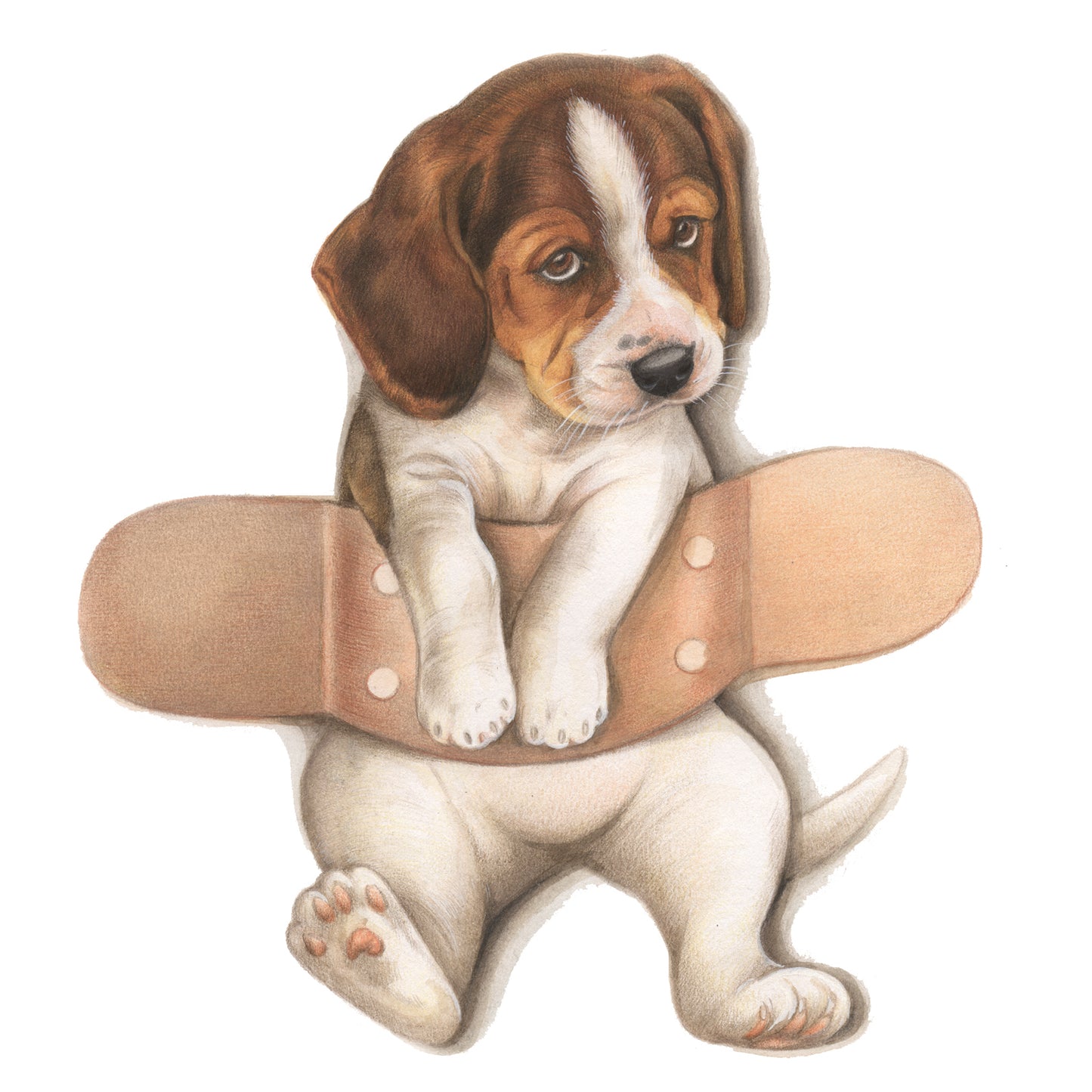 Vierkante kaart - Pleister over Beagle - Beterschap (honden print)