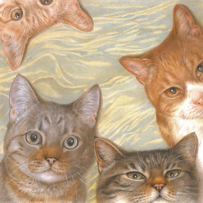 Square card - Cat collage