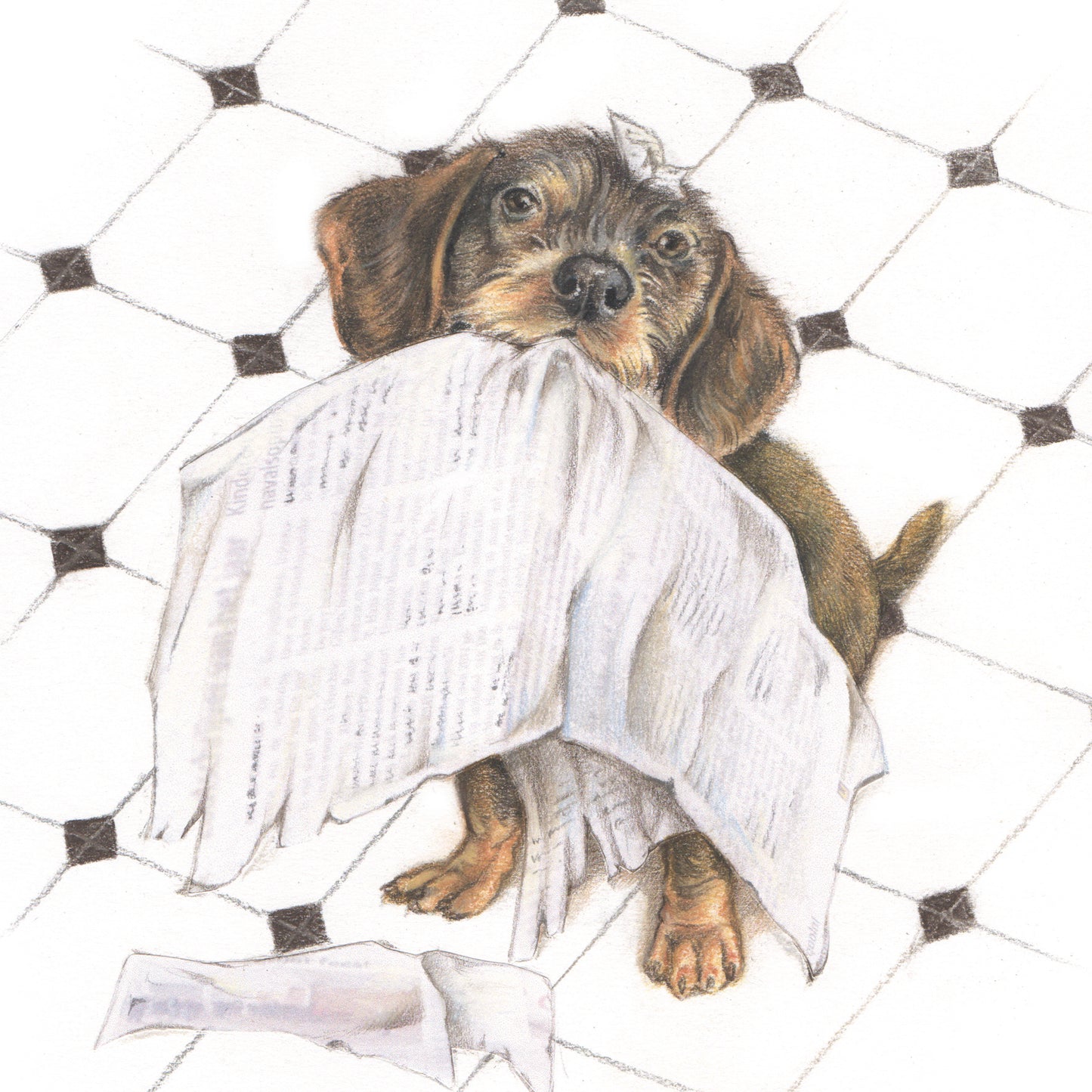Quadratische Karte – Immer auf dem Laufenden mit allen Neuigkeiten (Dackel / Dachshund)