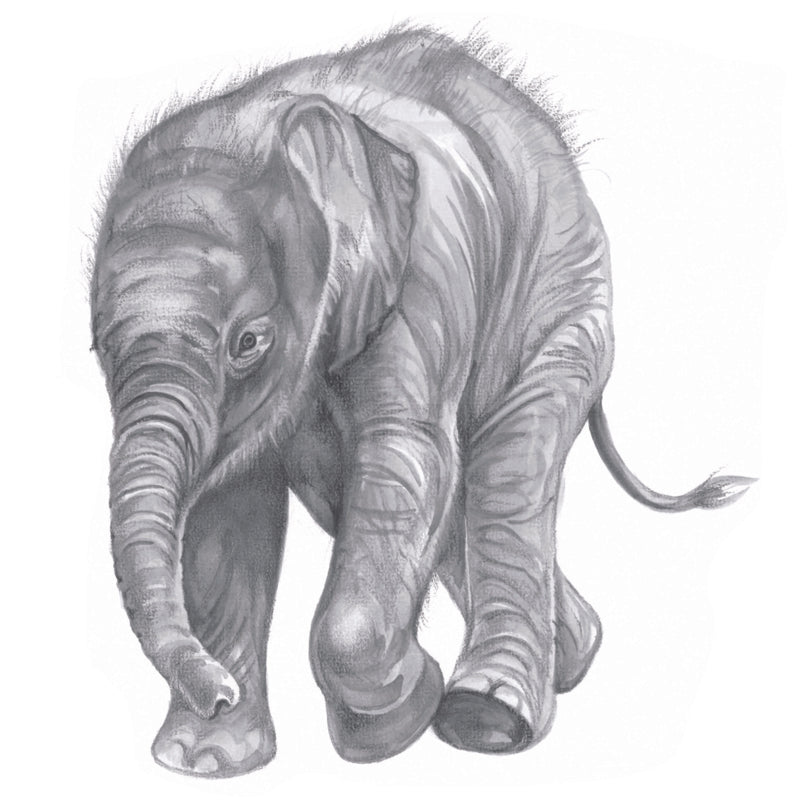 Quadratische Karte - Elefant; „Dann komme ich zu dir“!