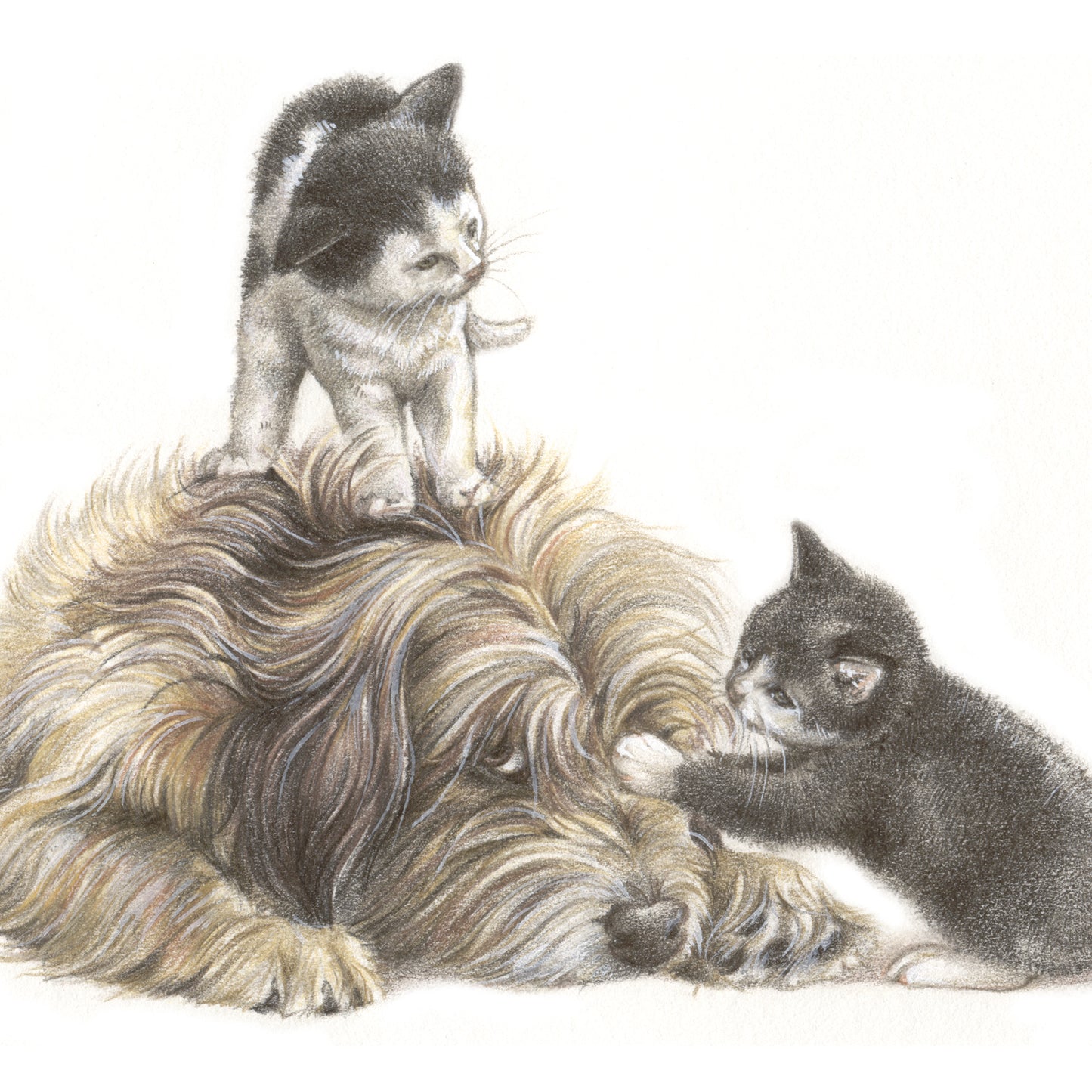 Vierkante kaart - Nooit eens een rustig plekje meer in huis sinds die 2 zijn gearriveerd!! (hond en katten)