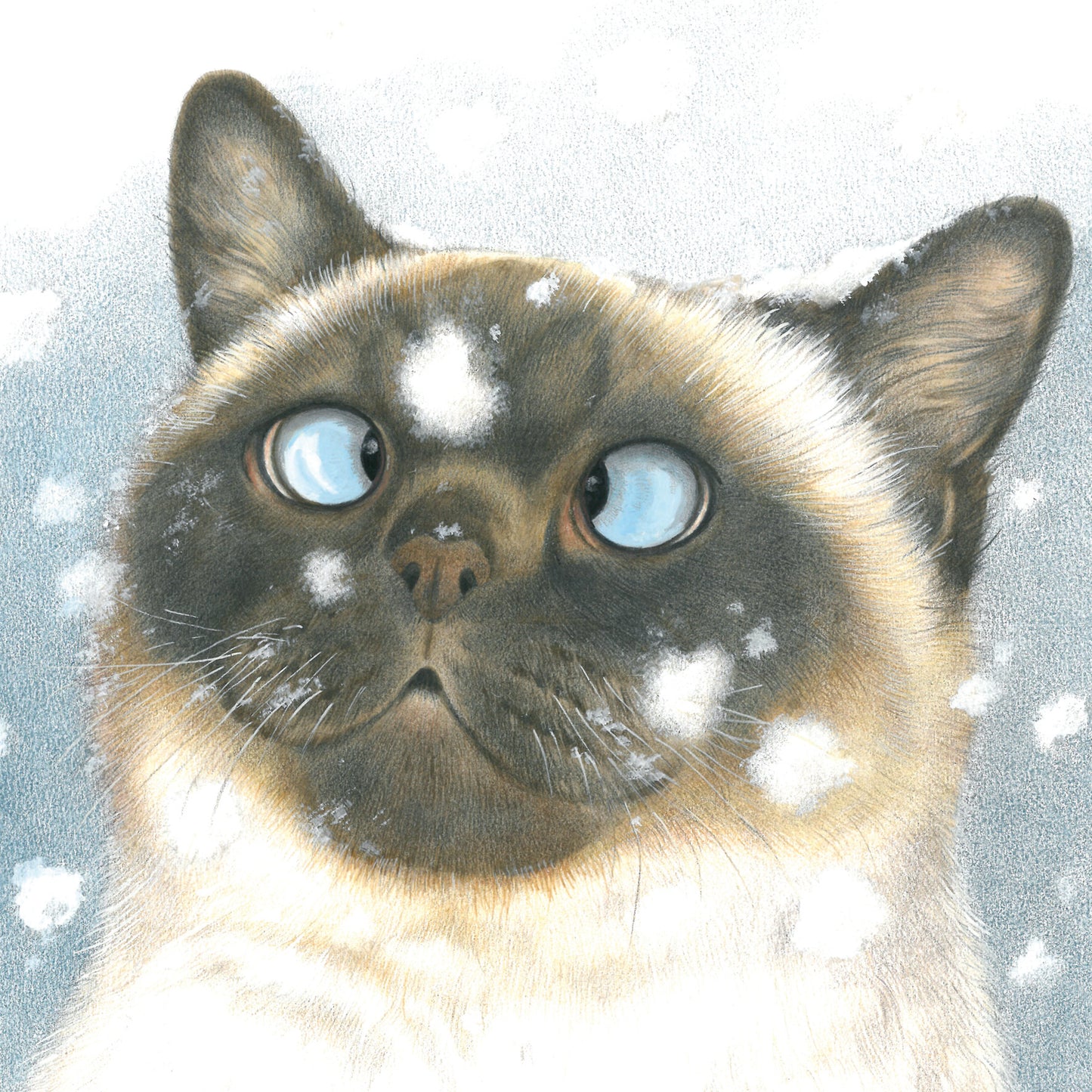 Vierkante kaart - Van sneeuwvlokjes ga ik altijd een beetje scheel kijken.... (katten print)