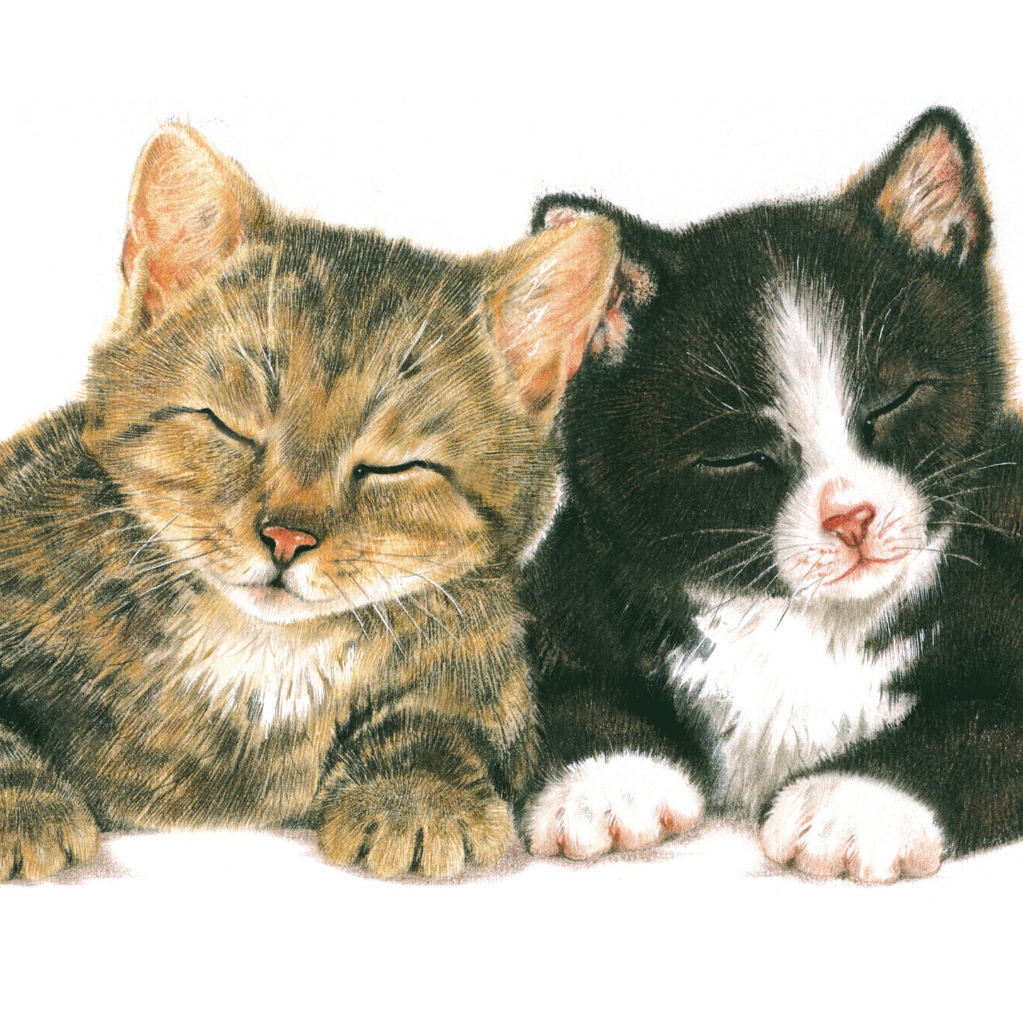 Vierkante kaart - Toch wel erg fijn dat we met z'n tweetjes zijn... (katten print)