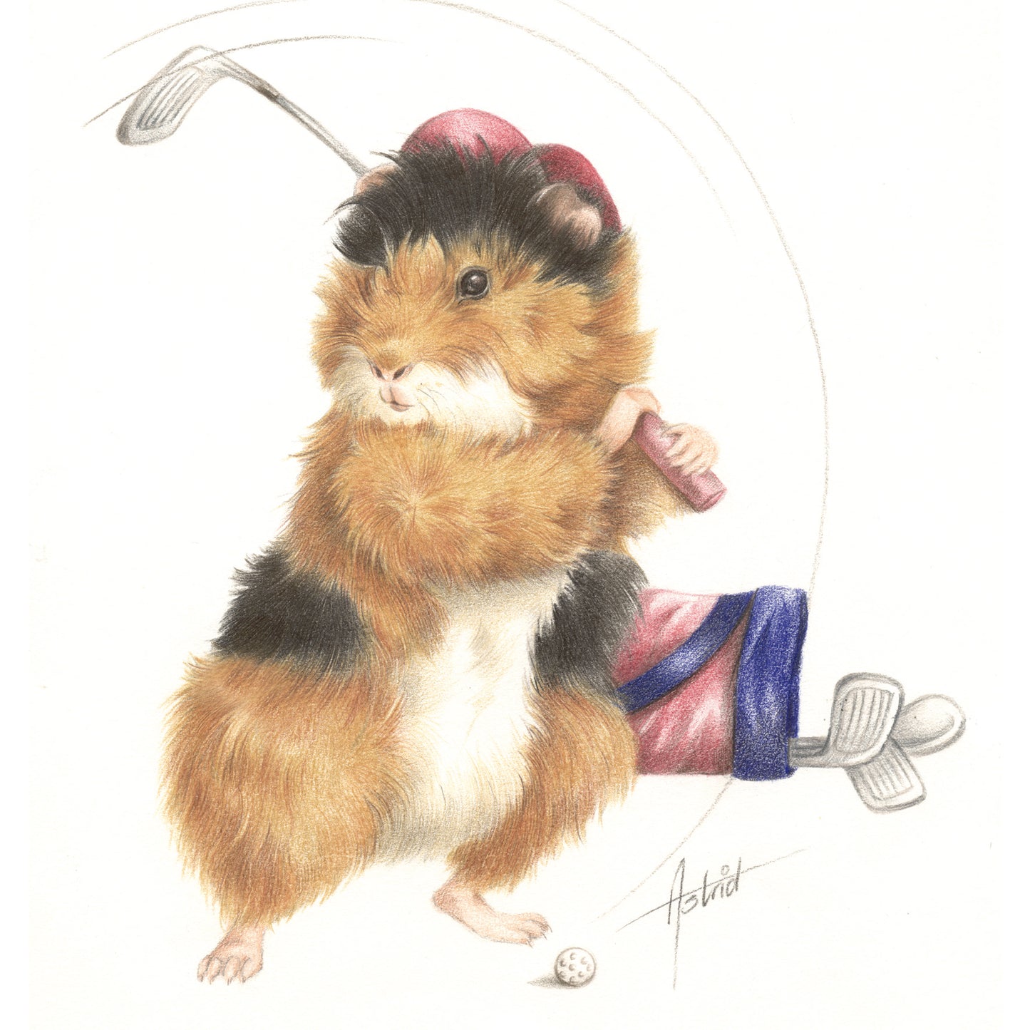 Quadratische Karte - Golf spielendes Meerschweinchen. Welches Hobby hast du? Wirst du mit mir einen Ball schlagen?