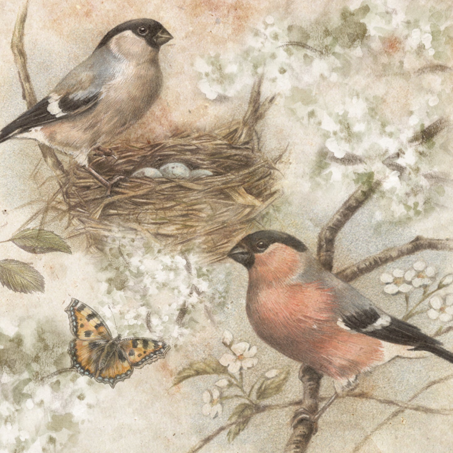 Quadratische Karte - Eine schöne Zeichnung aus der Vogelperspektive