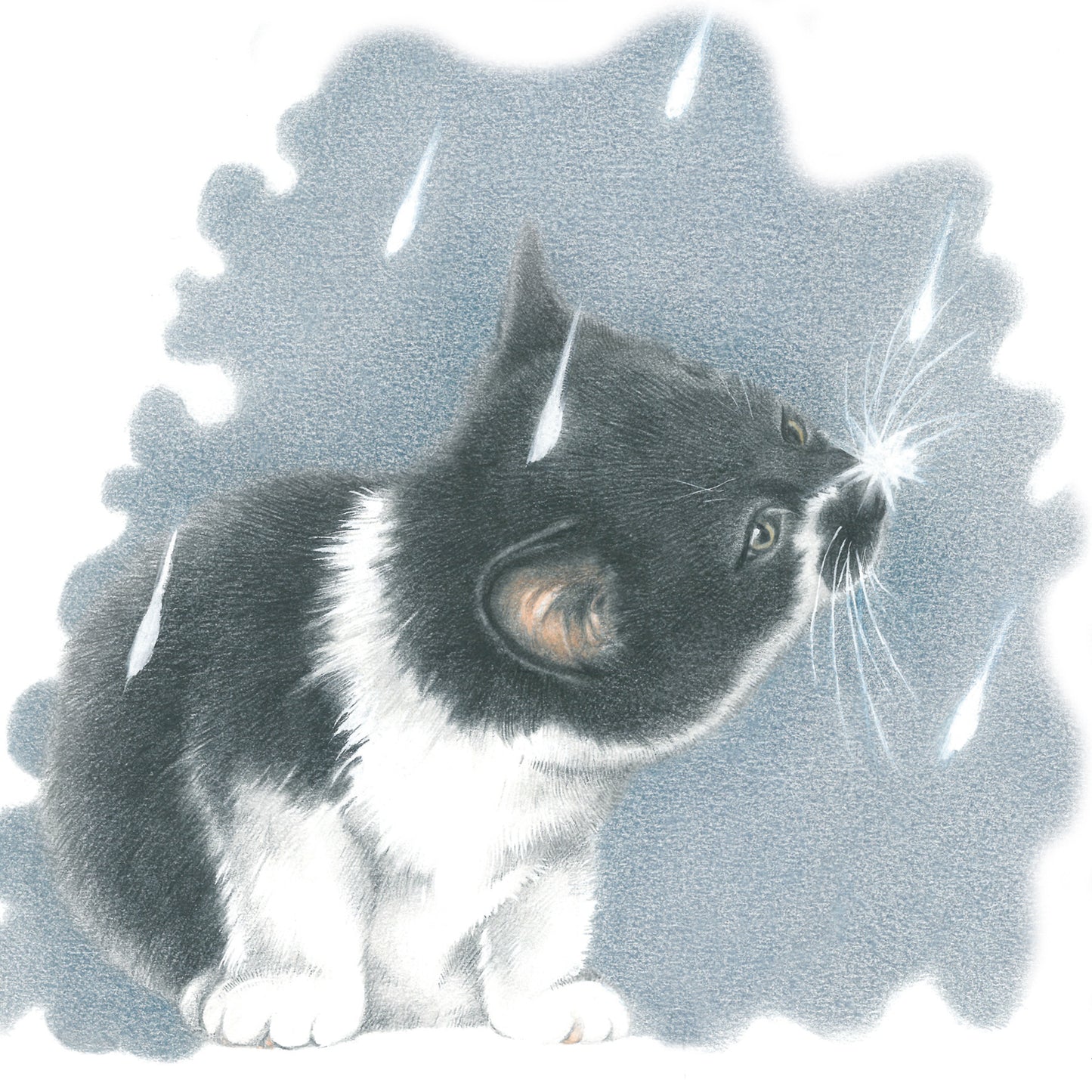 Quadratische Karte - It's Raining Cat's - Europäisch Kurzhaar