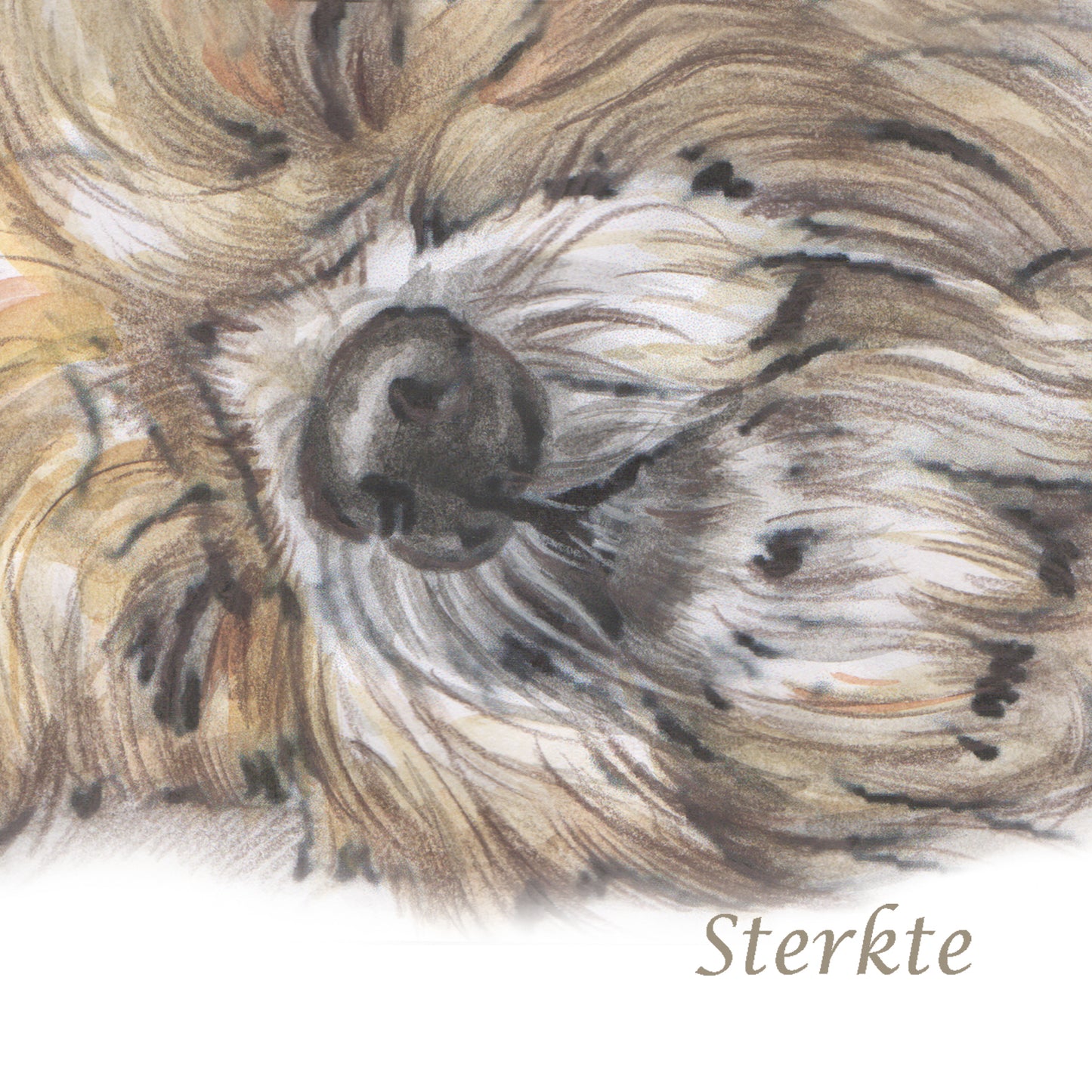 Quadratische Karte - Beileidskarte Hund
