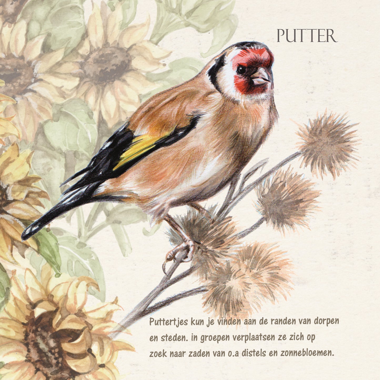 Vierkante kaart - Putter (vogel print)