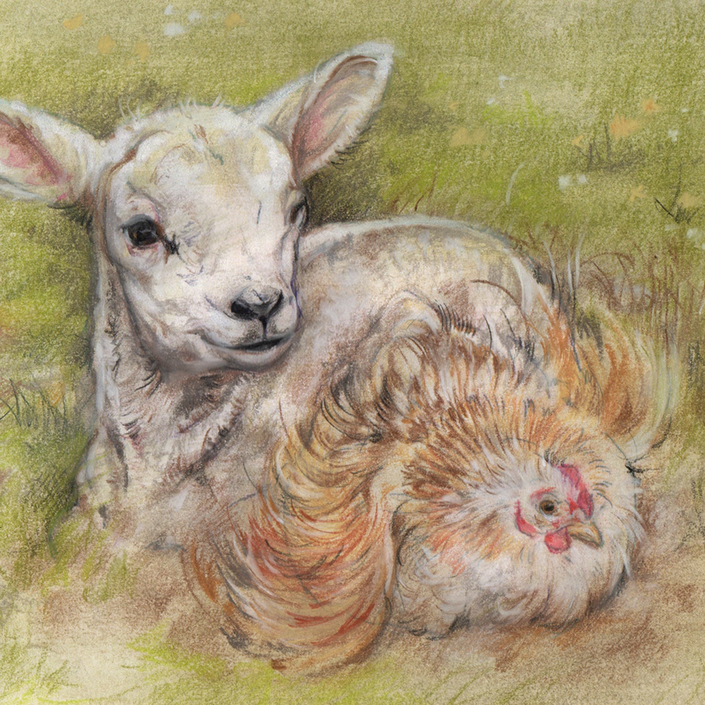 Vierkante kaart - Zo was het ooit bedoeld. (Schaap, Kip)