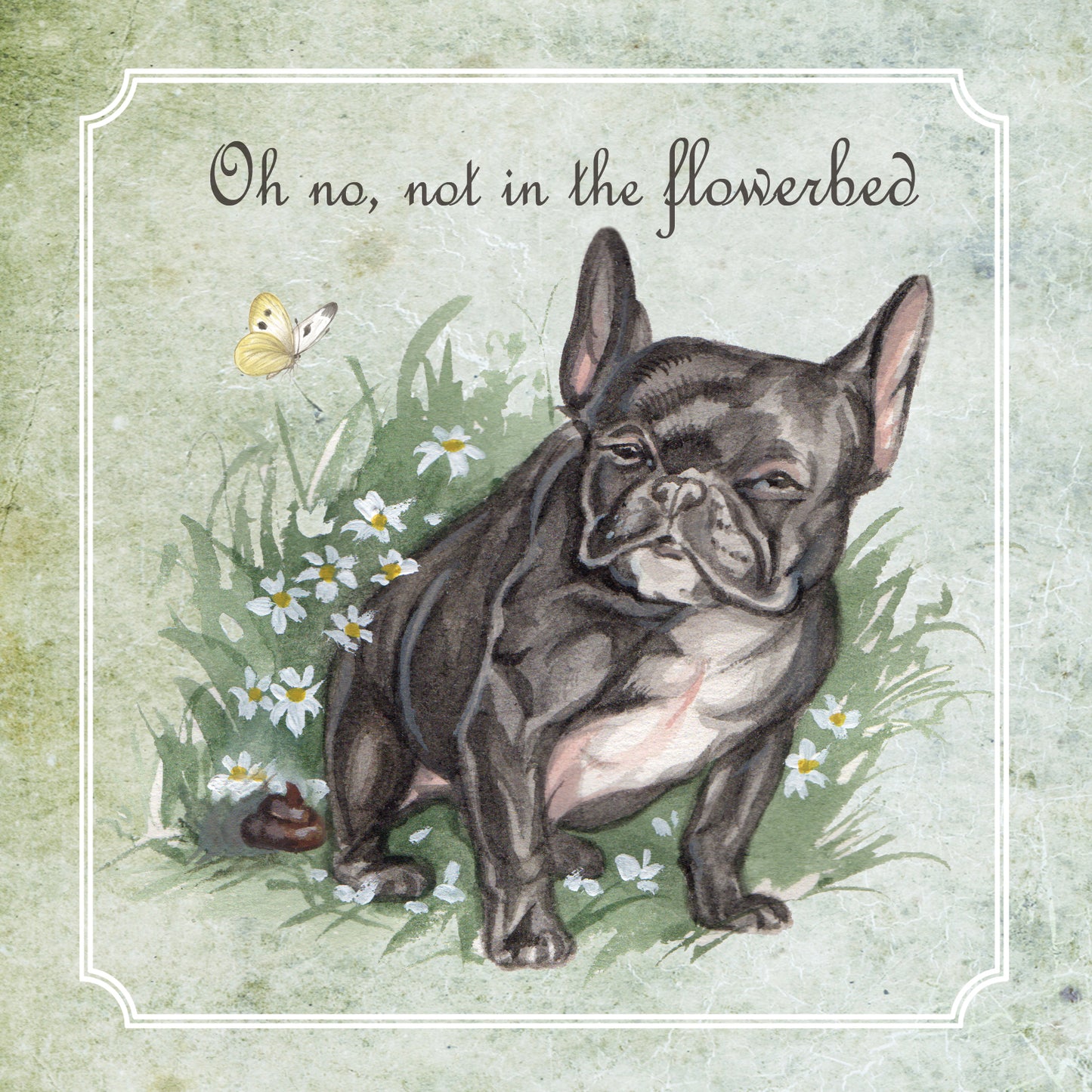 Vierkante kaart - Oh no, not in the flowerbed (Hond, Franse Bulldog)