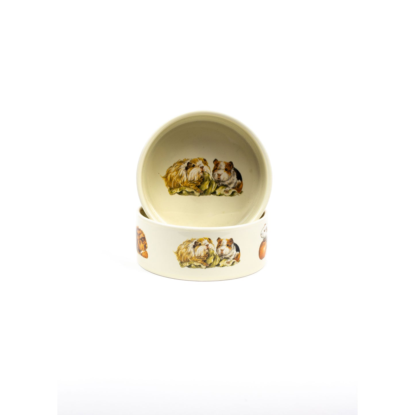 Guinea pig food bowl