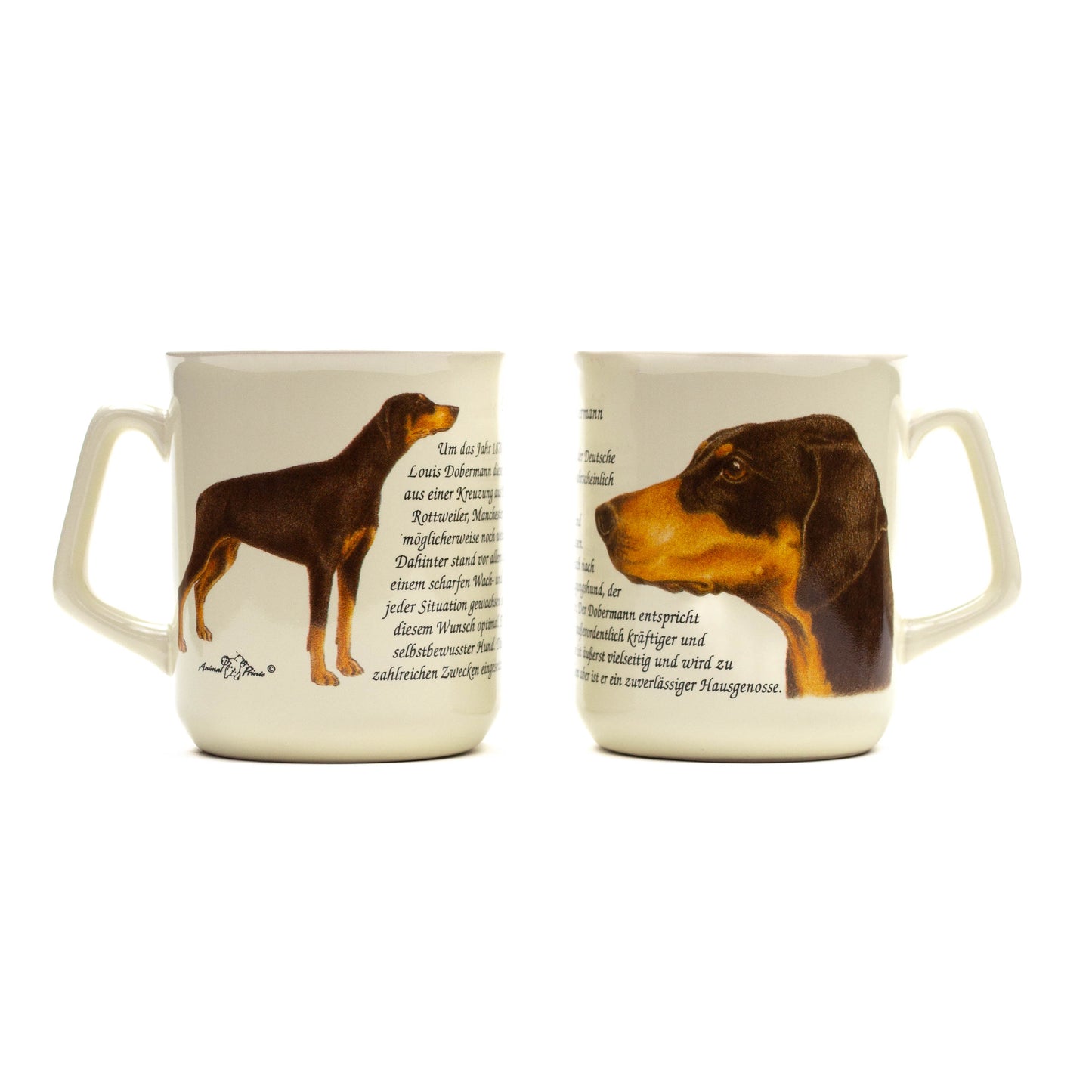 Mok Doberman Pincher