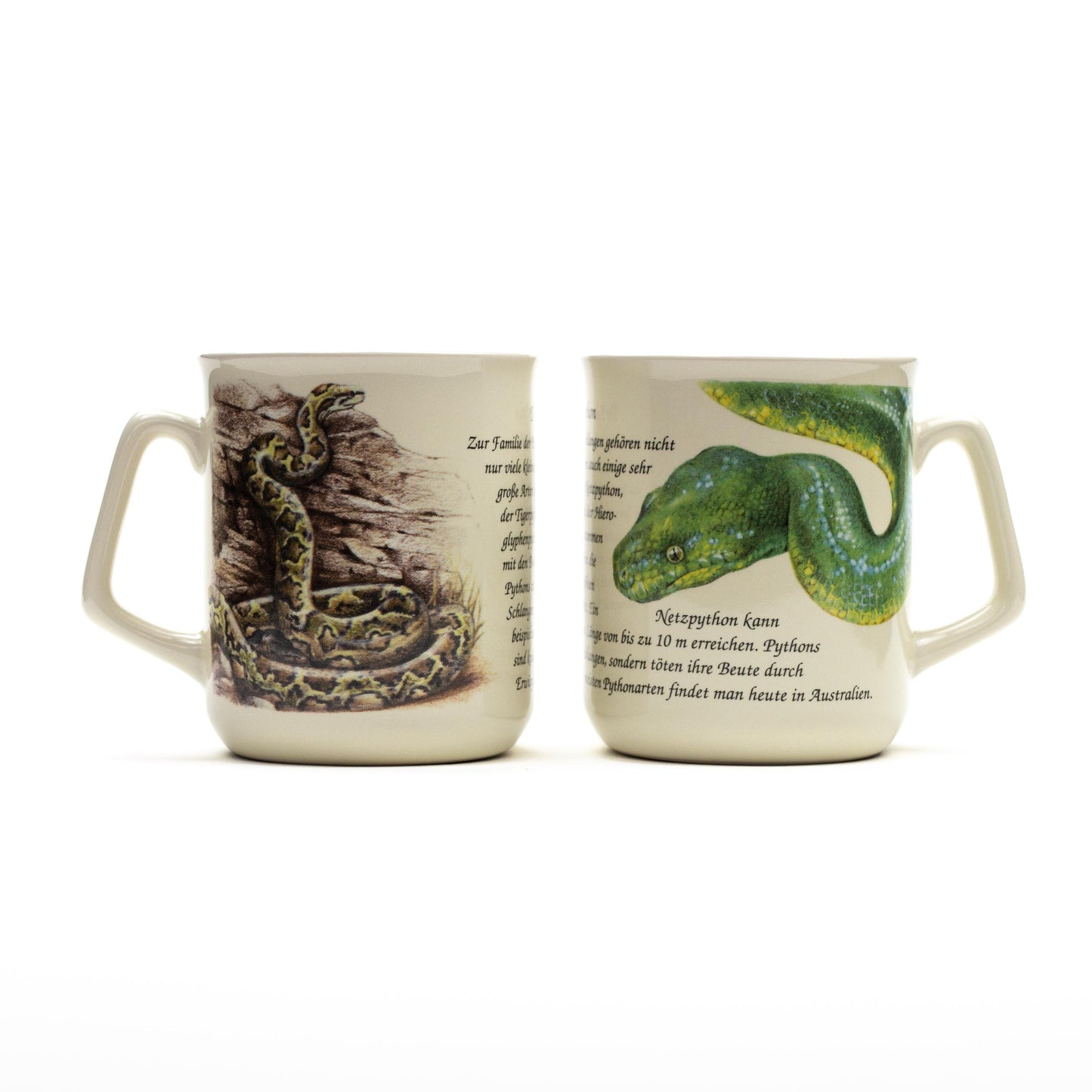 Tasse Python