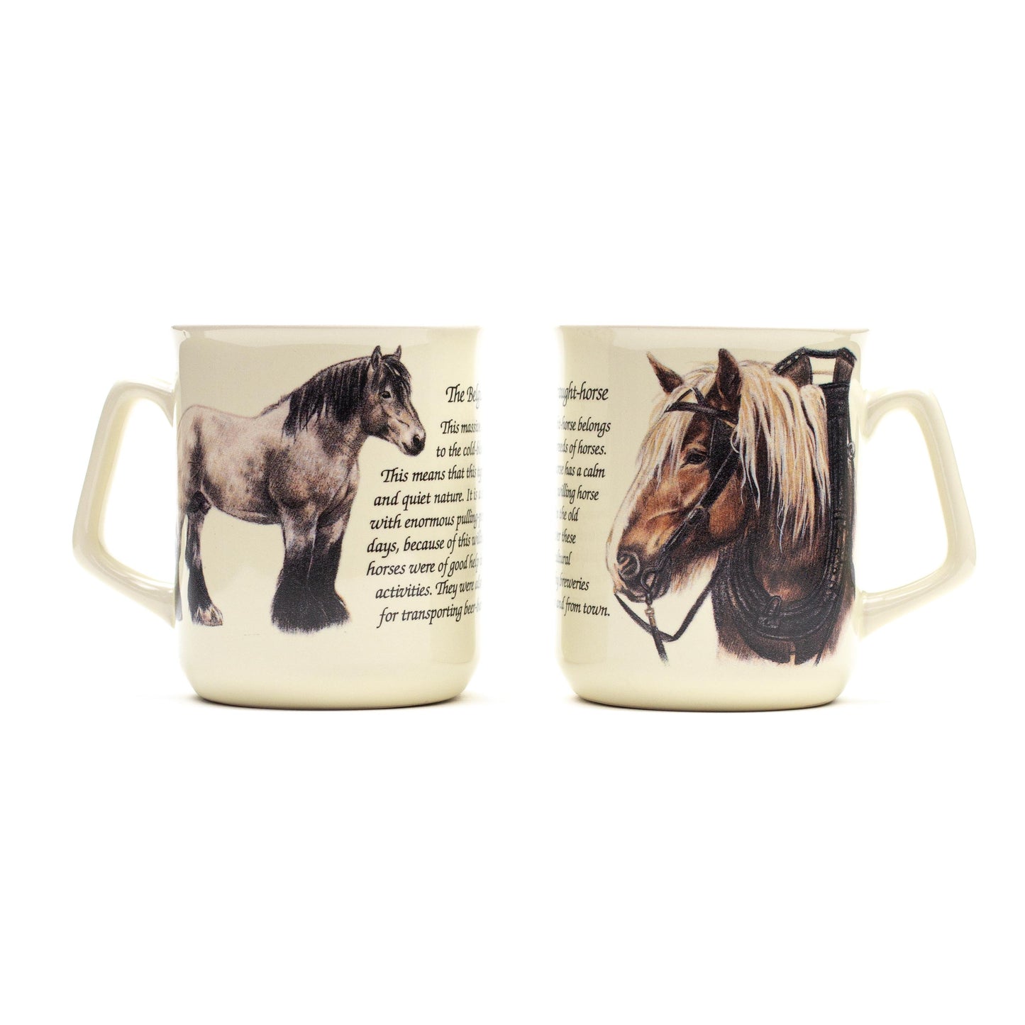 Tasse Belgisches Zugpferd
