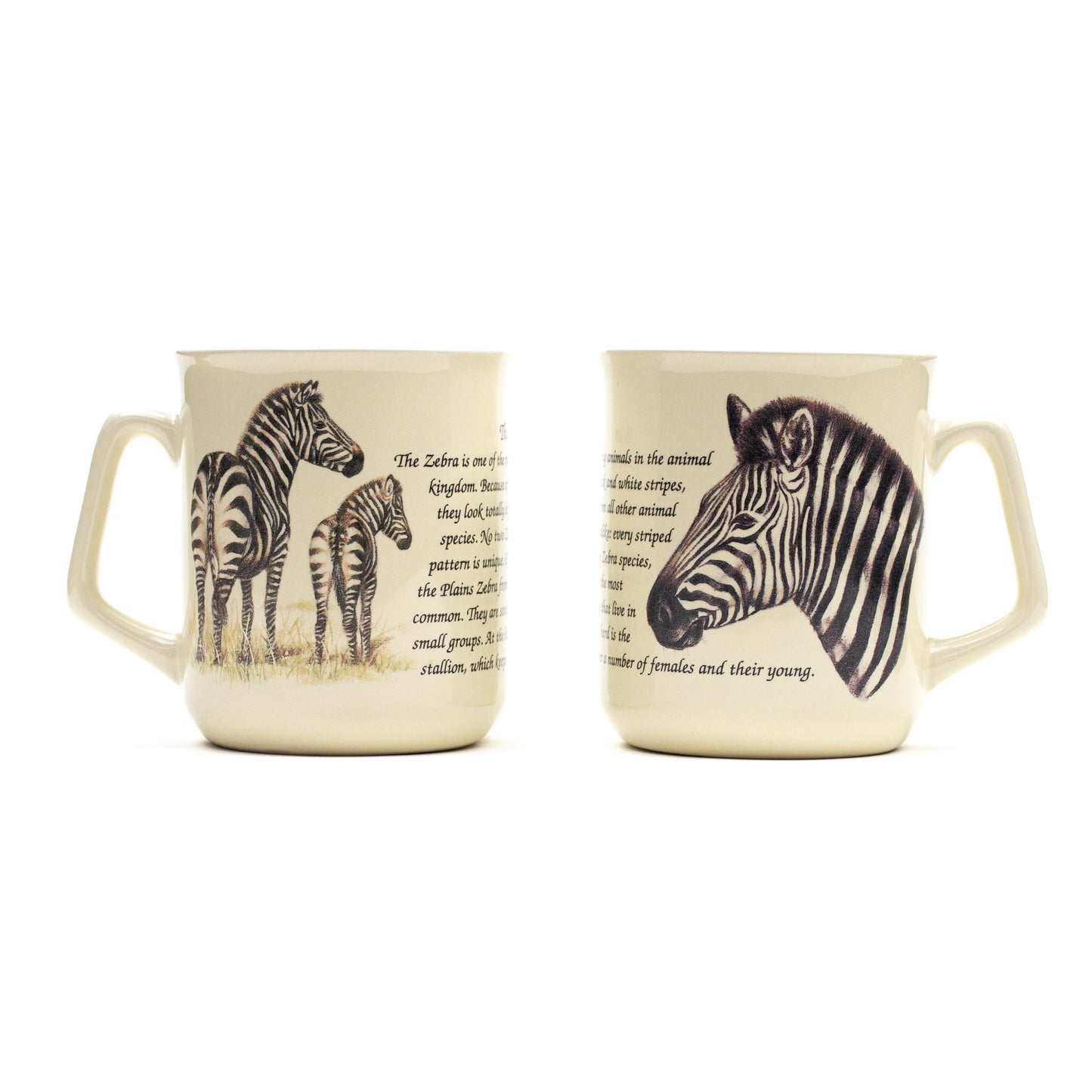 Mok Zebra