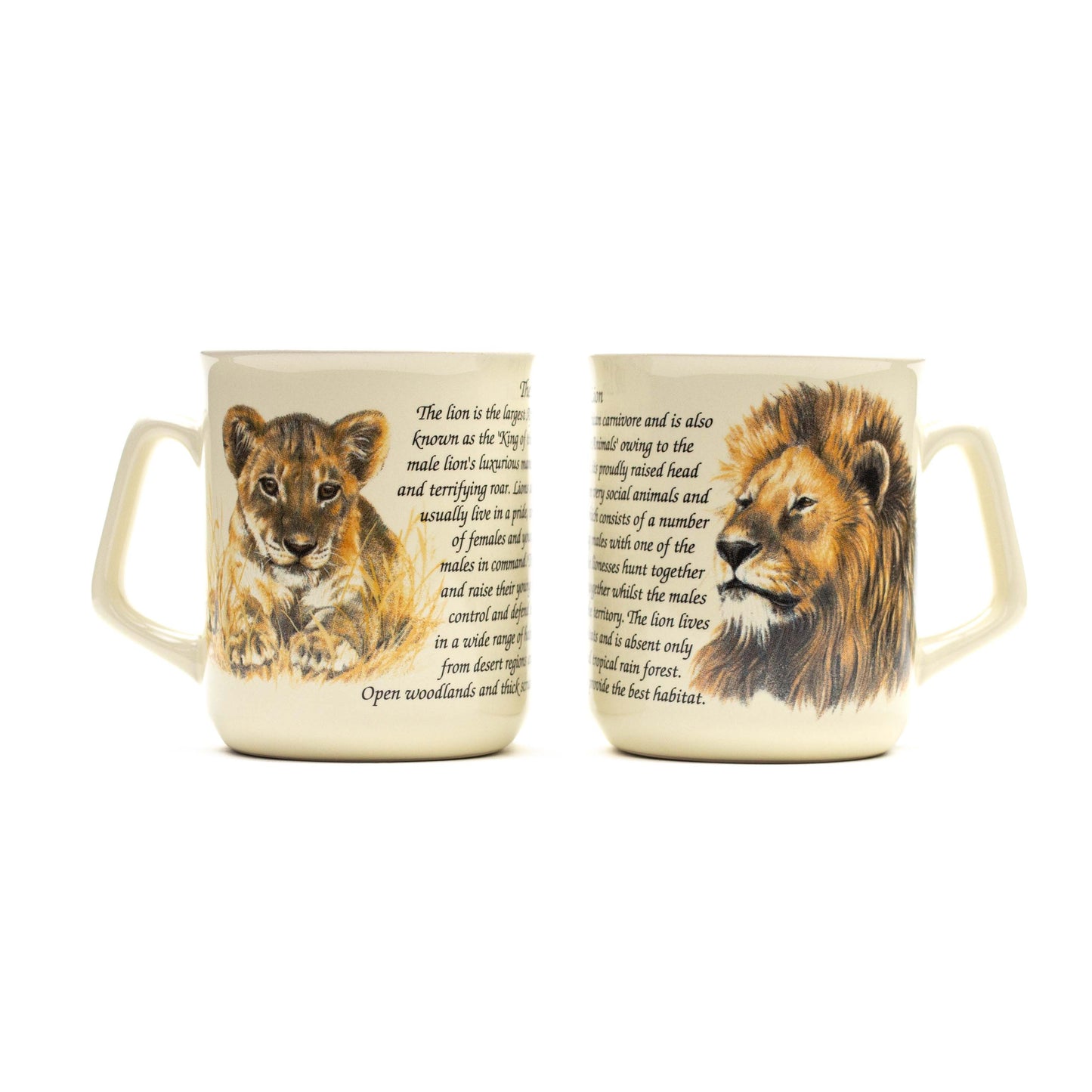 Tasse Löwen