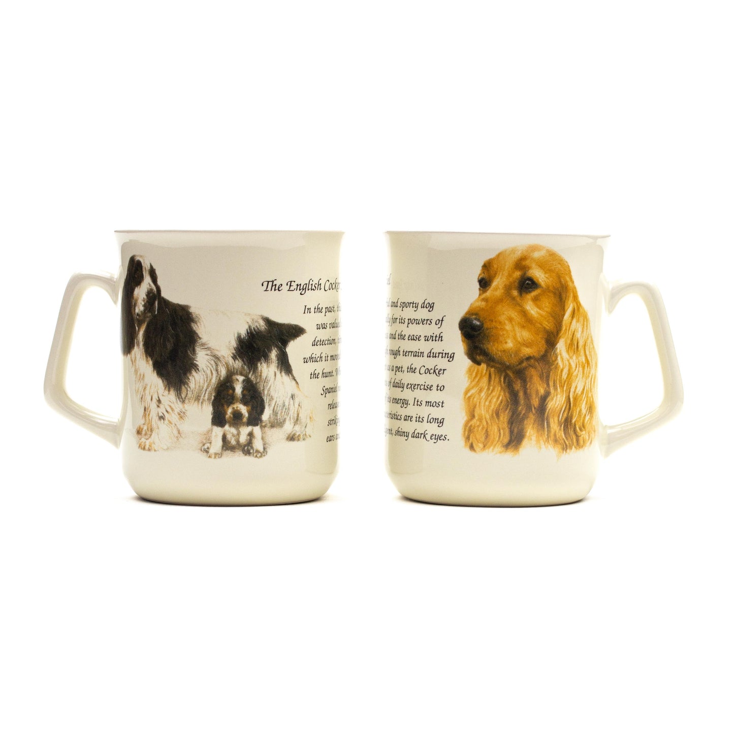Mok Spaniels