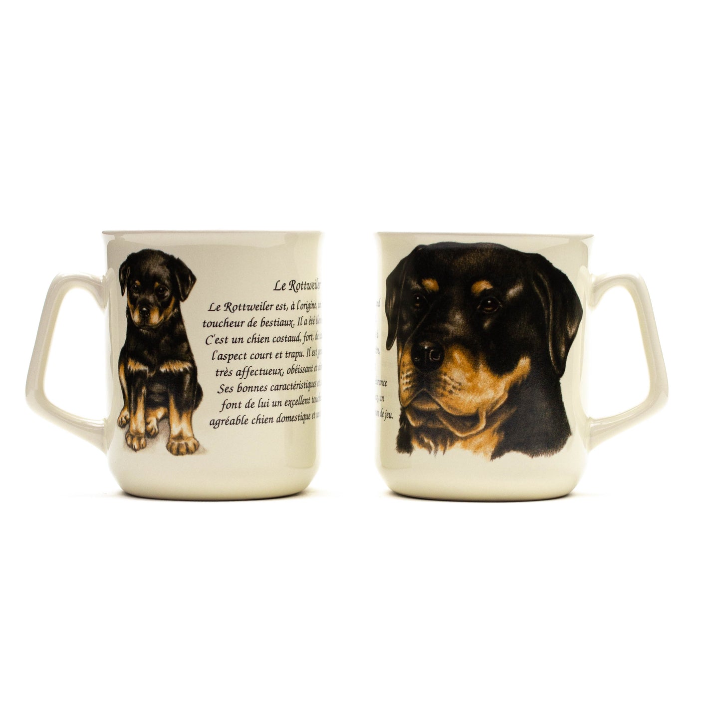 Mok Rottweiler