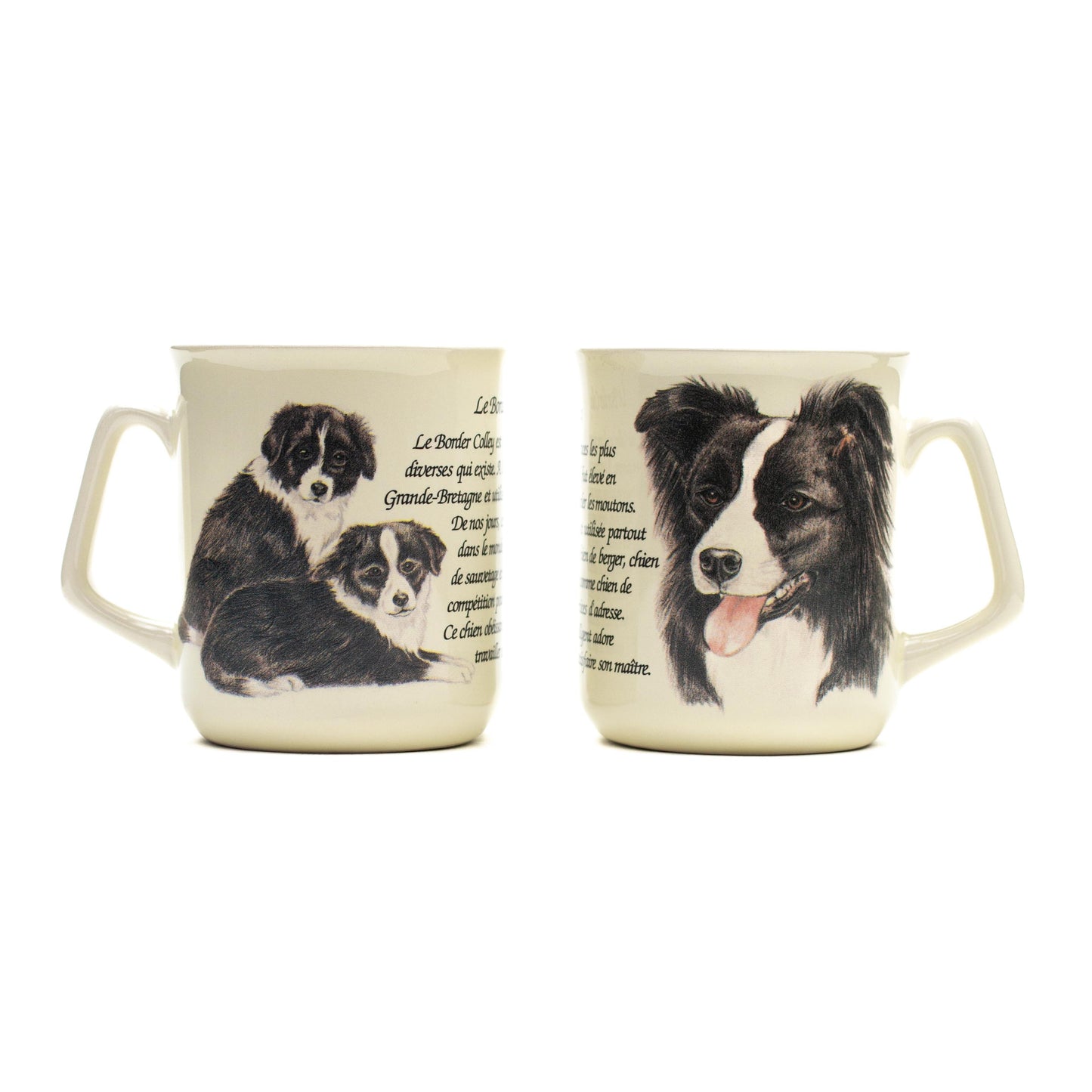 Mok Border Collie