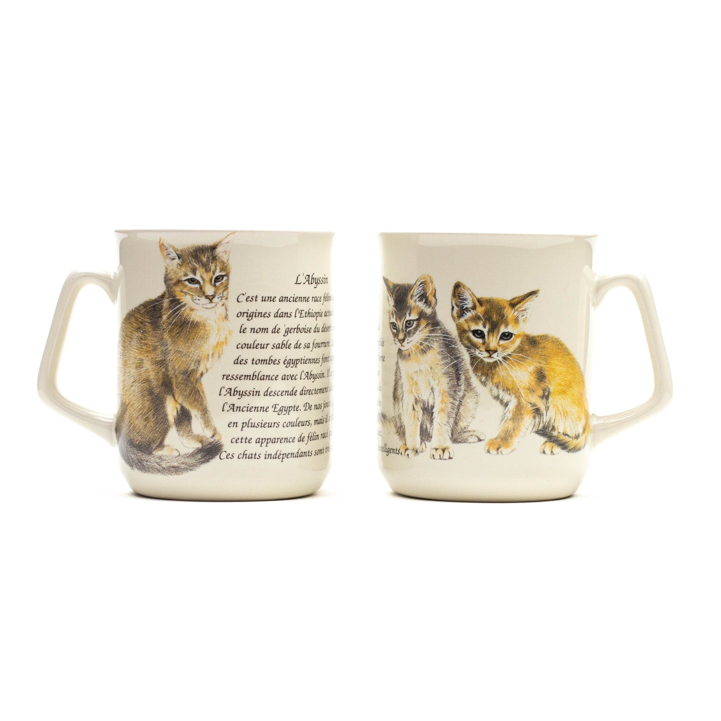 Tasse Abessinier