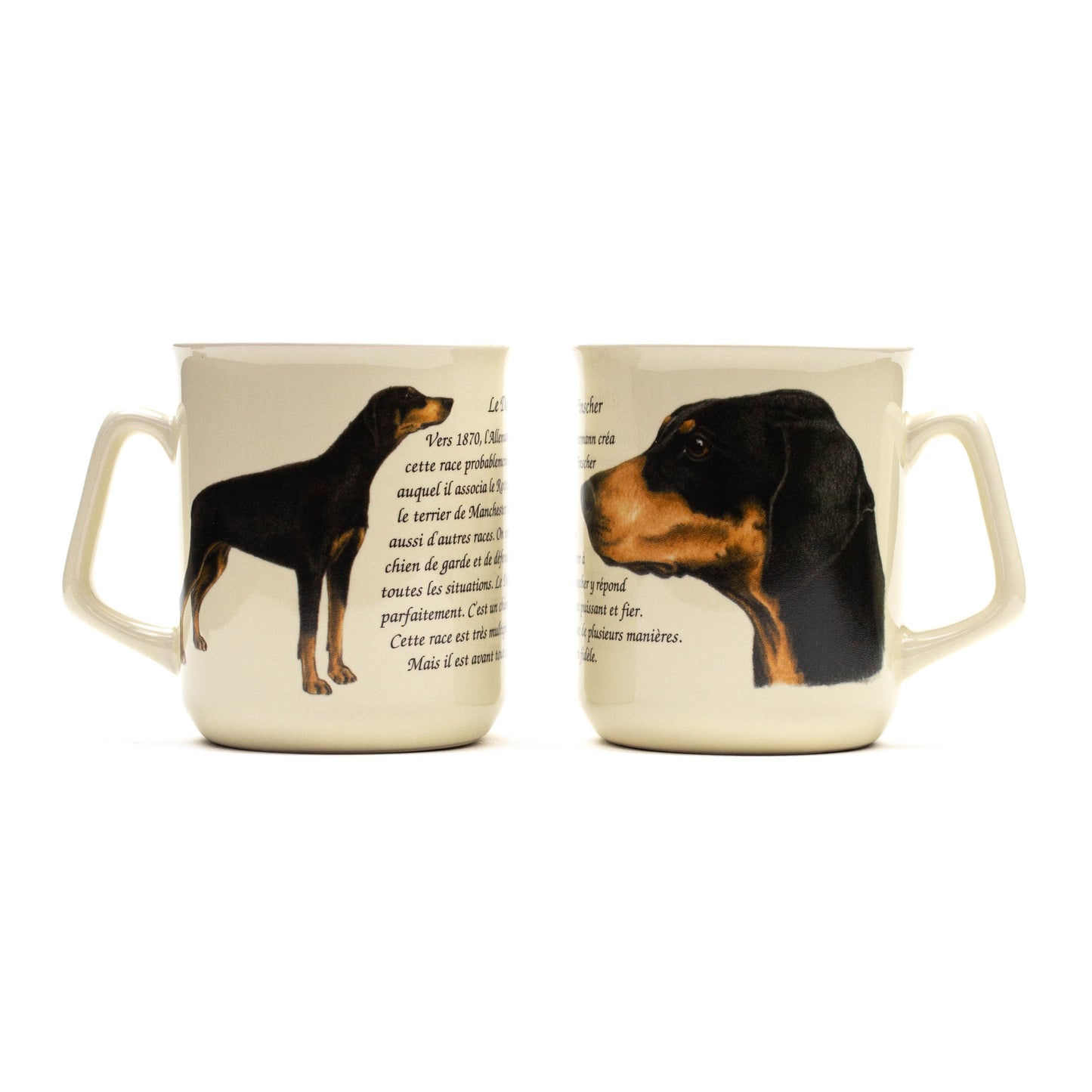 Mok Doberman Pincher