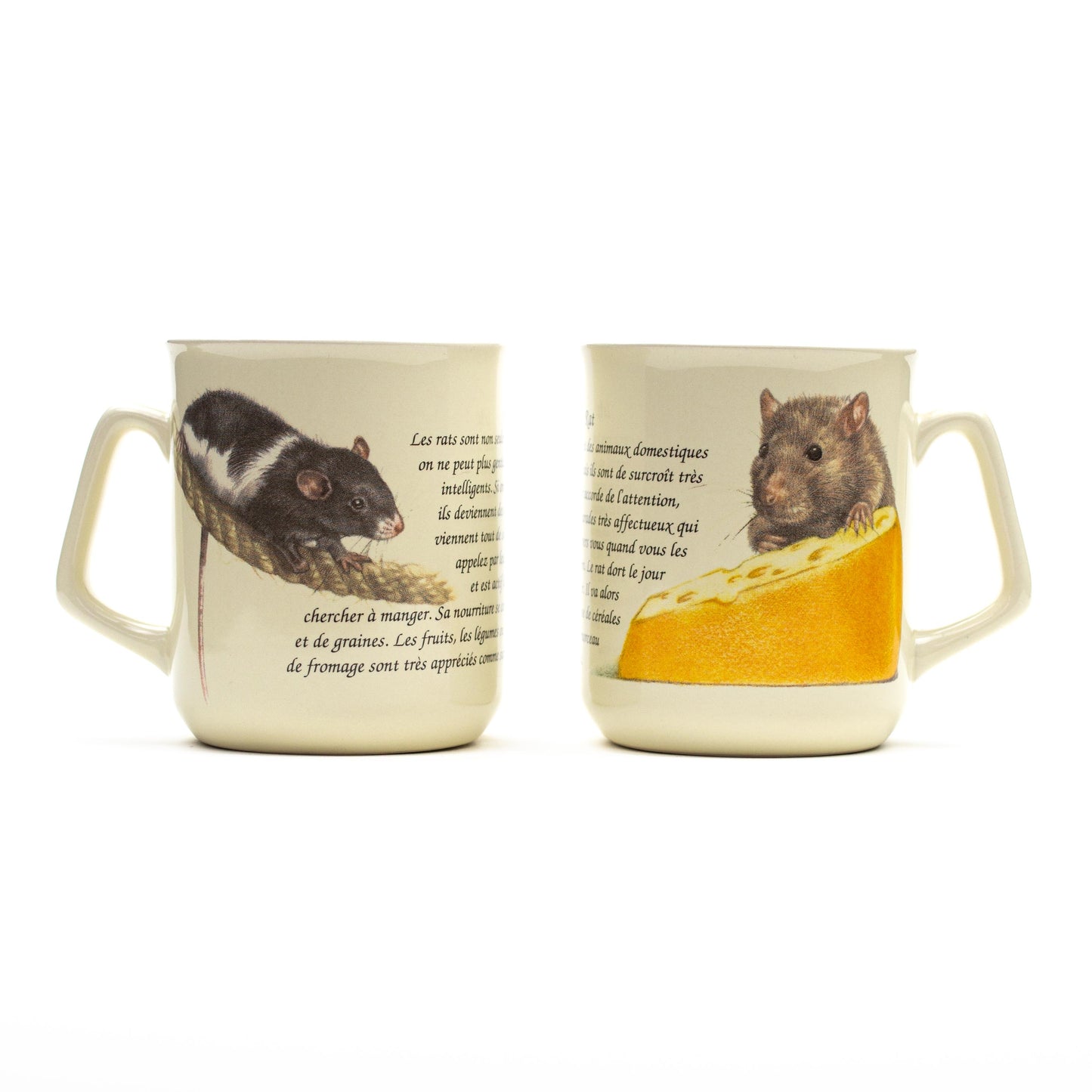 Becher Ratten