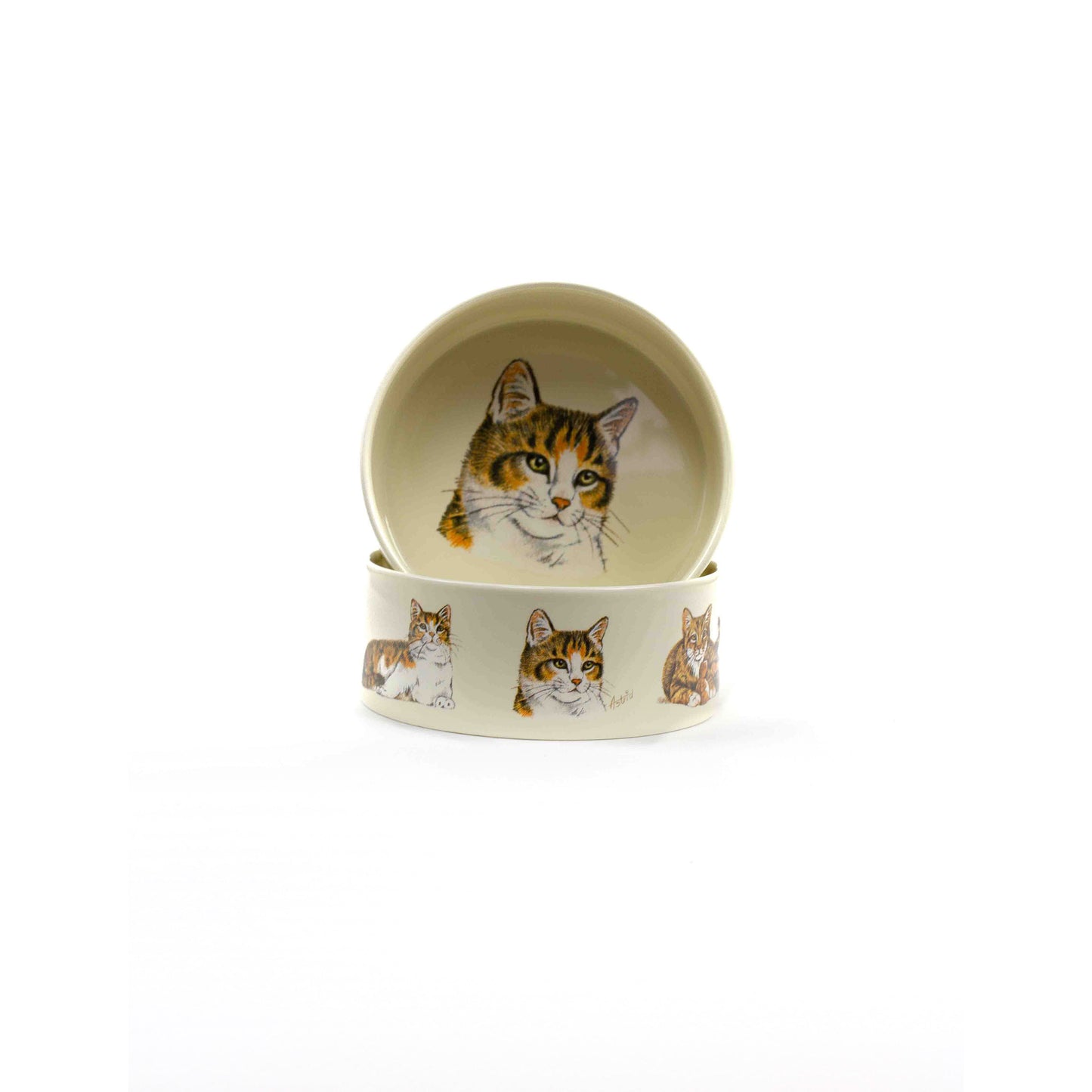 Food trough Cats 1