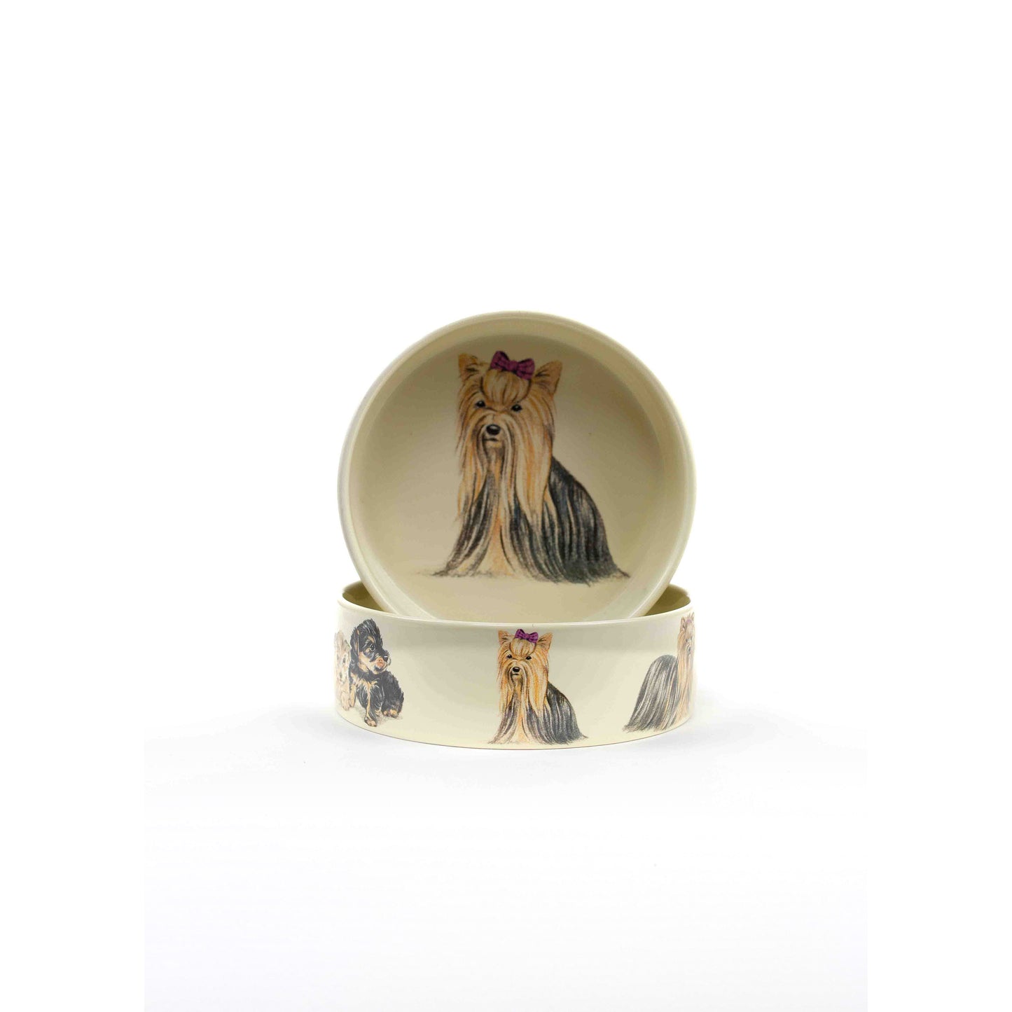 Feeding bowl Yorkshire Terrier