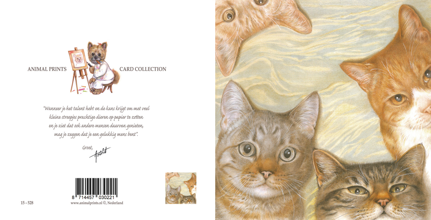Square card - Cat collage