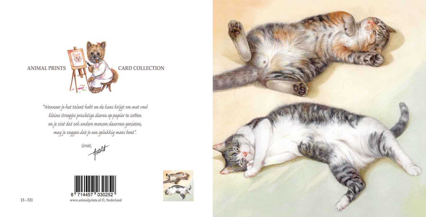 Vierkante kaart - Lekker even luieren, niets om je voor te schamen. (katten print)
