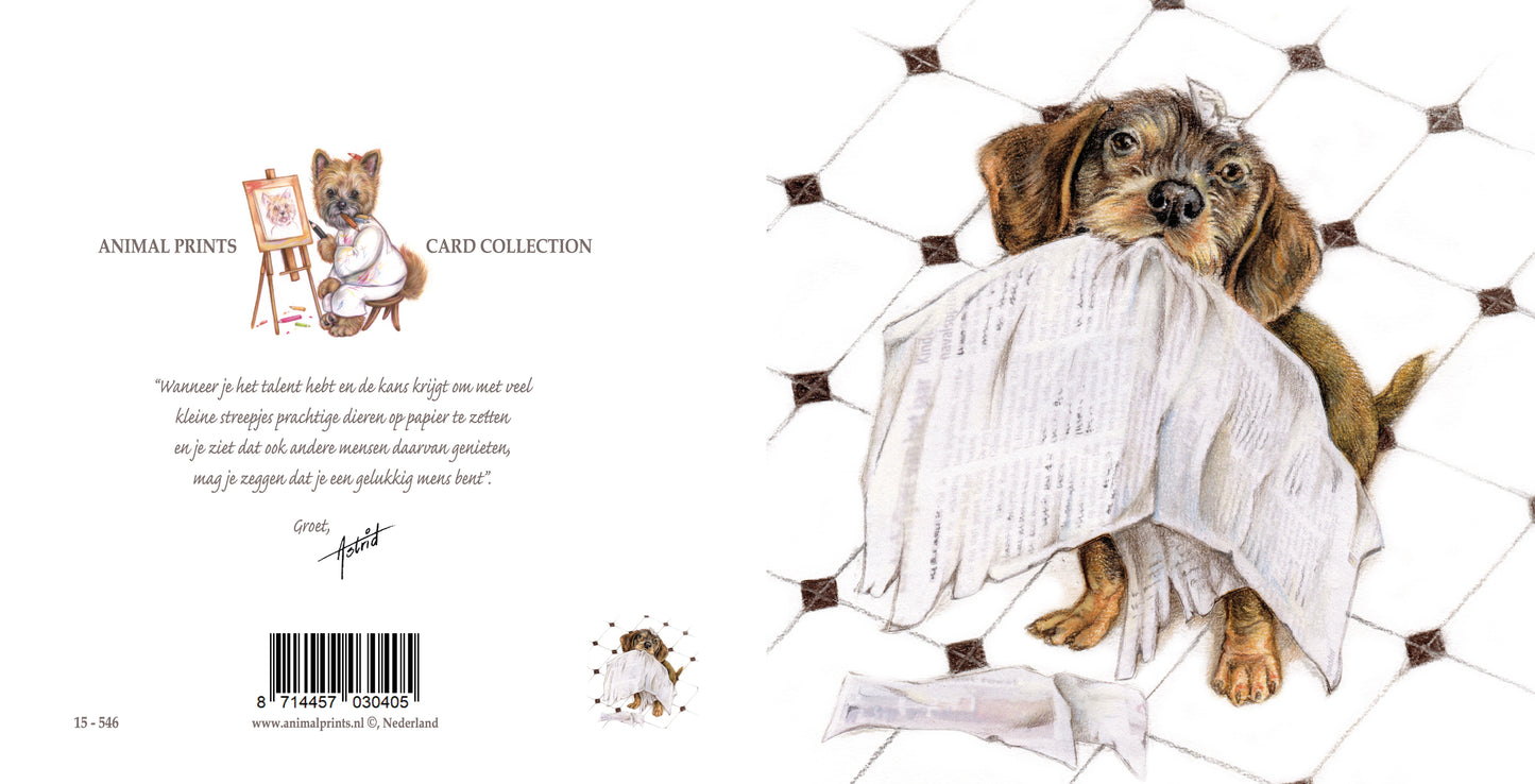 Quadratische Karte – Immer auf dem Laufenden mit allen Neuigkeiten (Dackel / Dachshund)